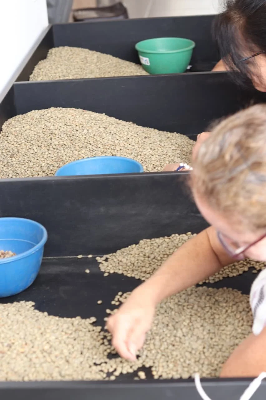 WhatsApp Image 2025-11-11 at 2.45.13 PM.jpeg