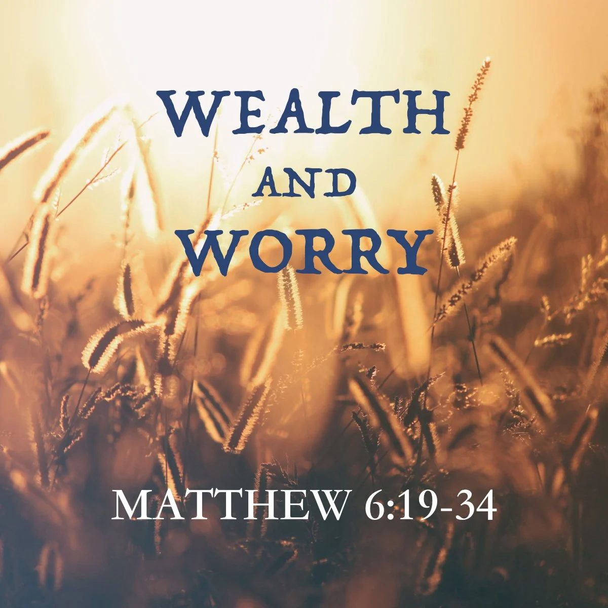 Wealth and Worry