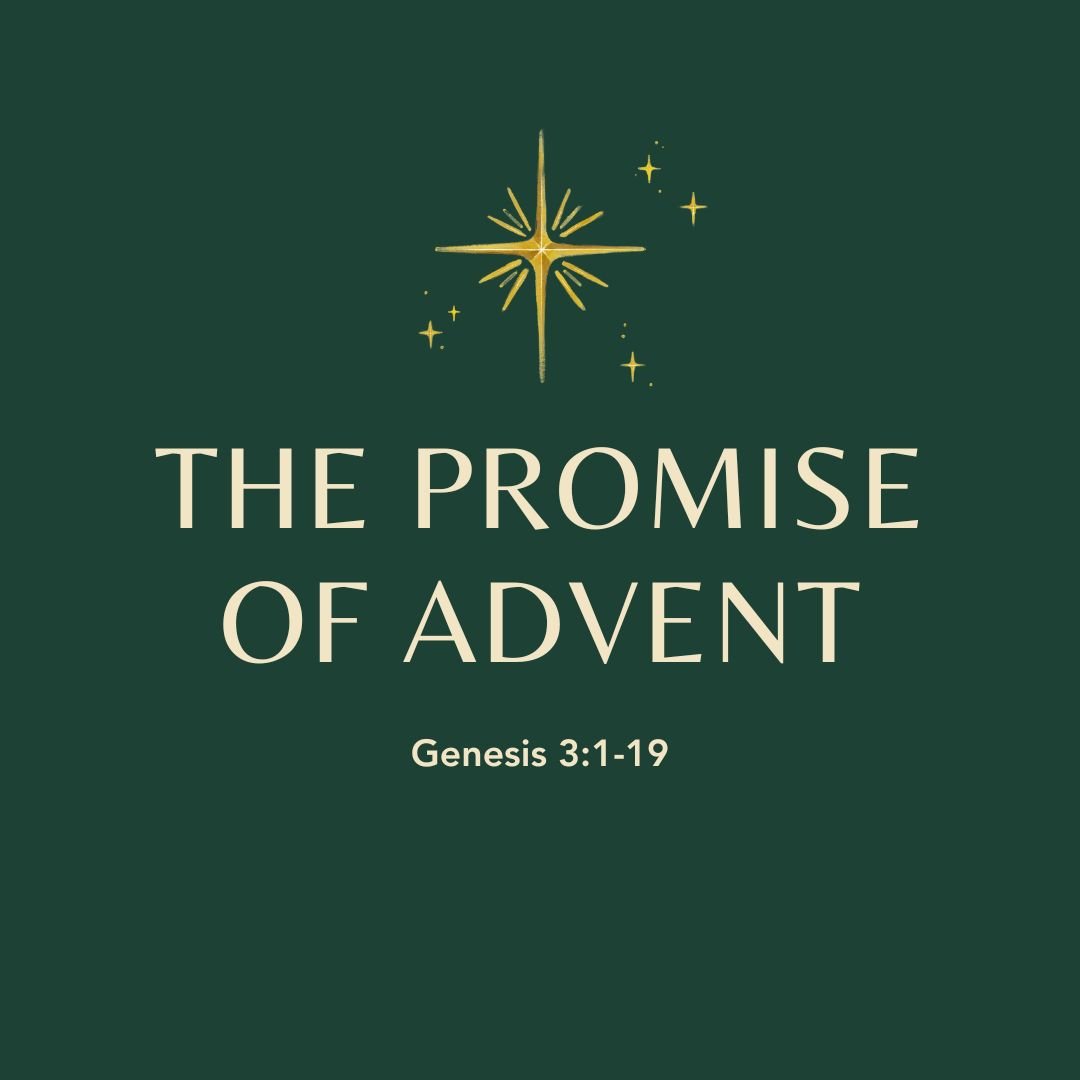 The Promise of Advent