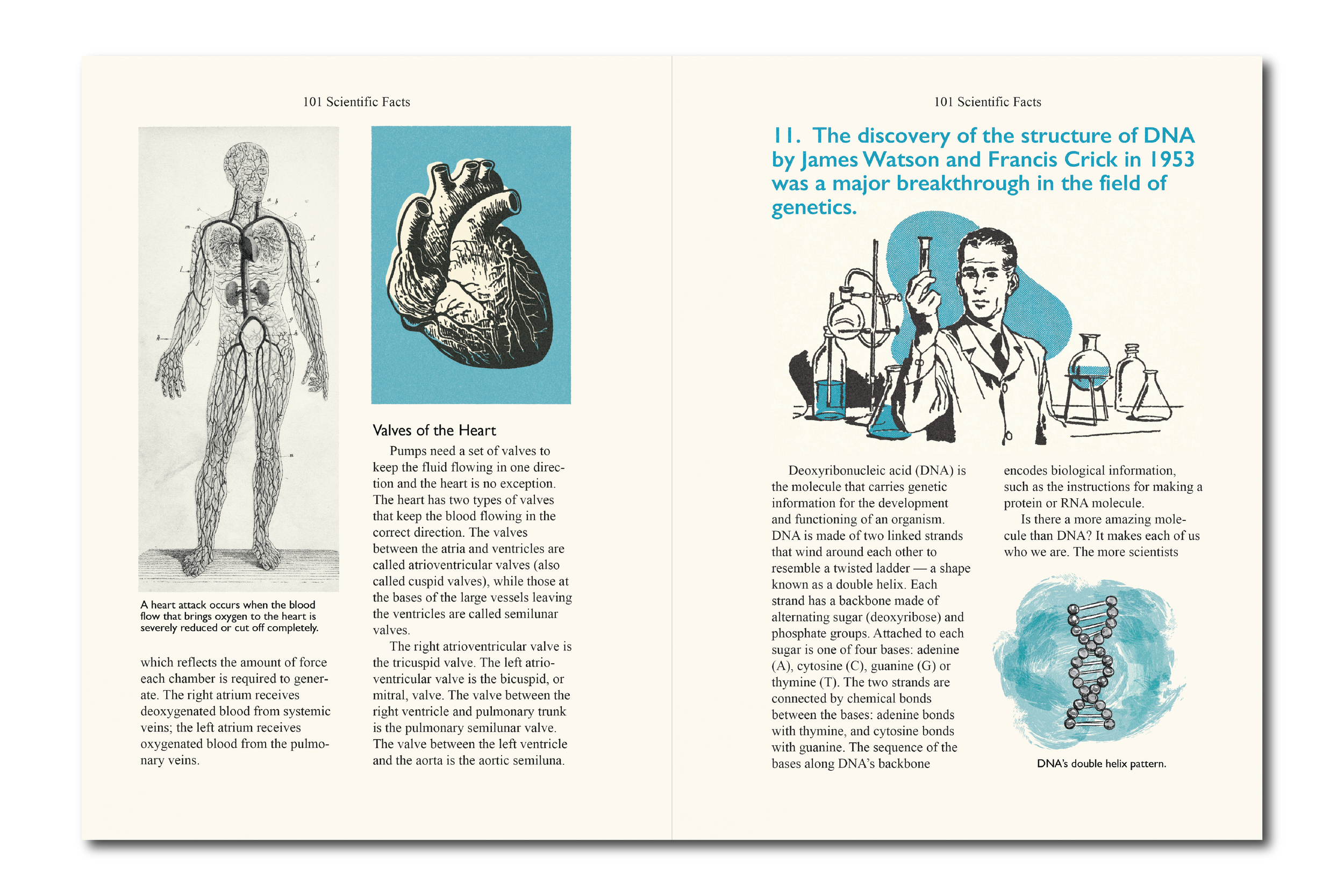 Derry High School GFX-05.png