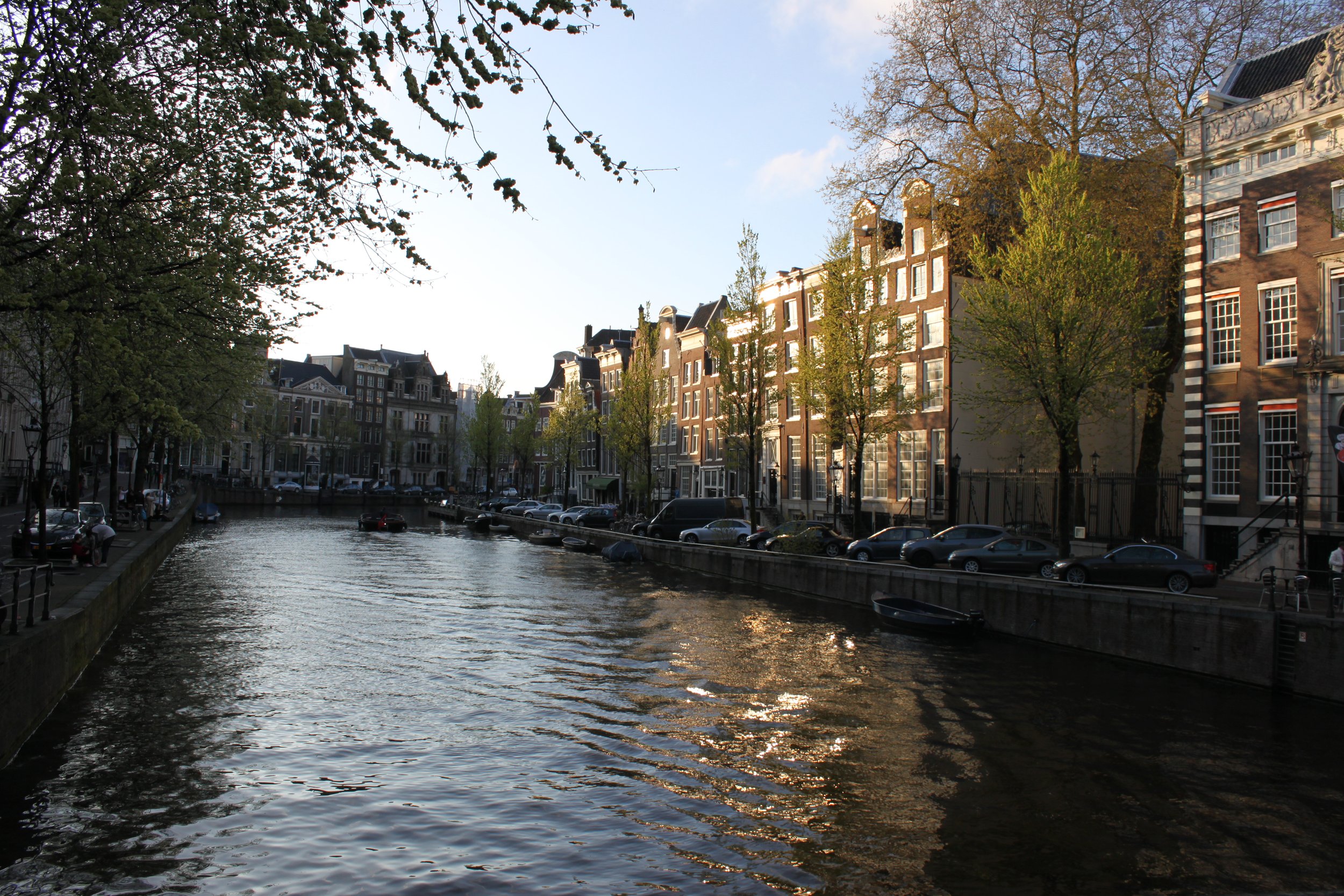 IMG_9230.JPG