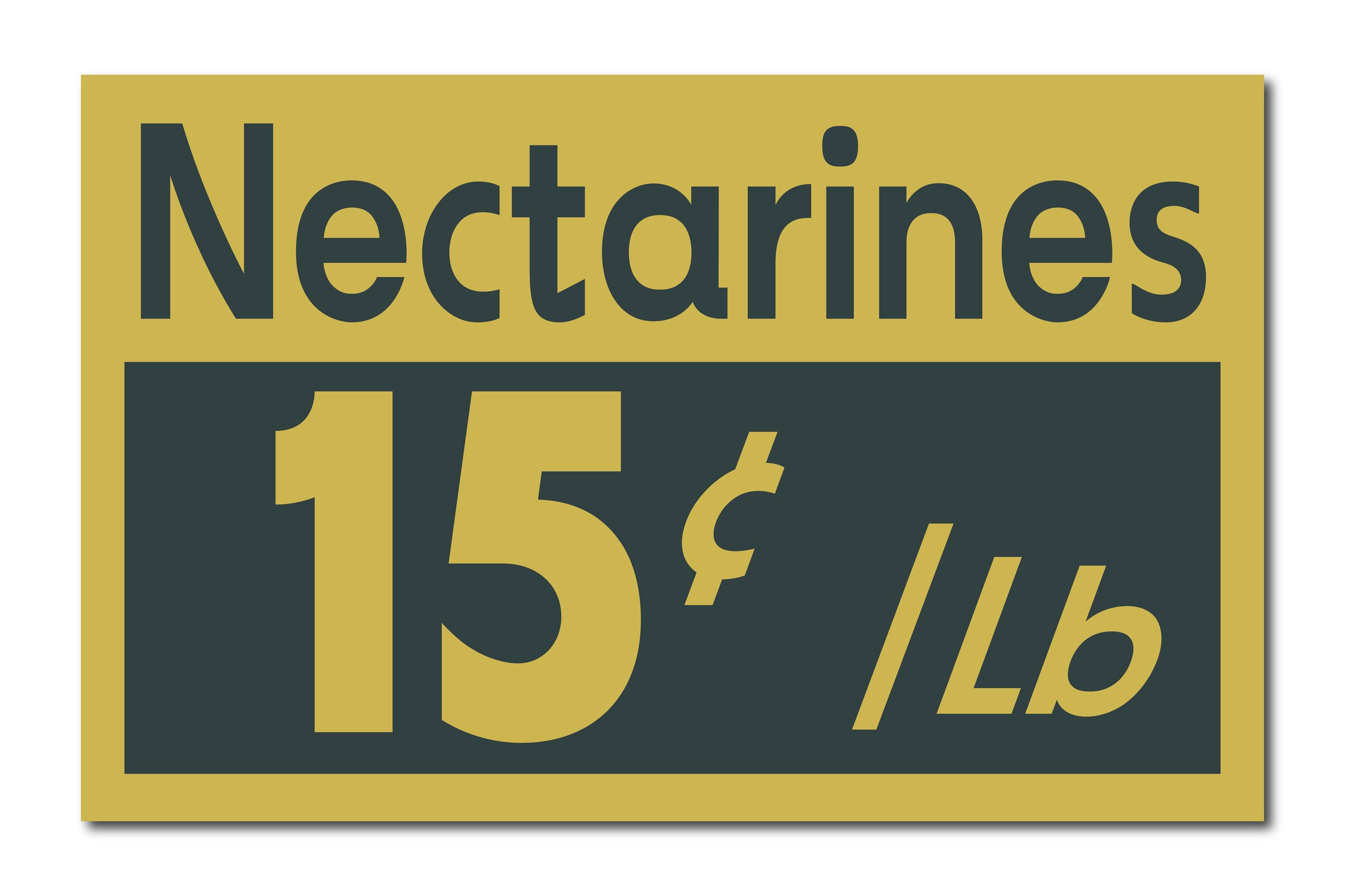 Derry Main Street GFX 2 (Ext Storefronts)-25.png