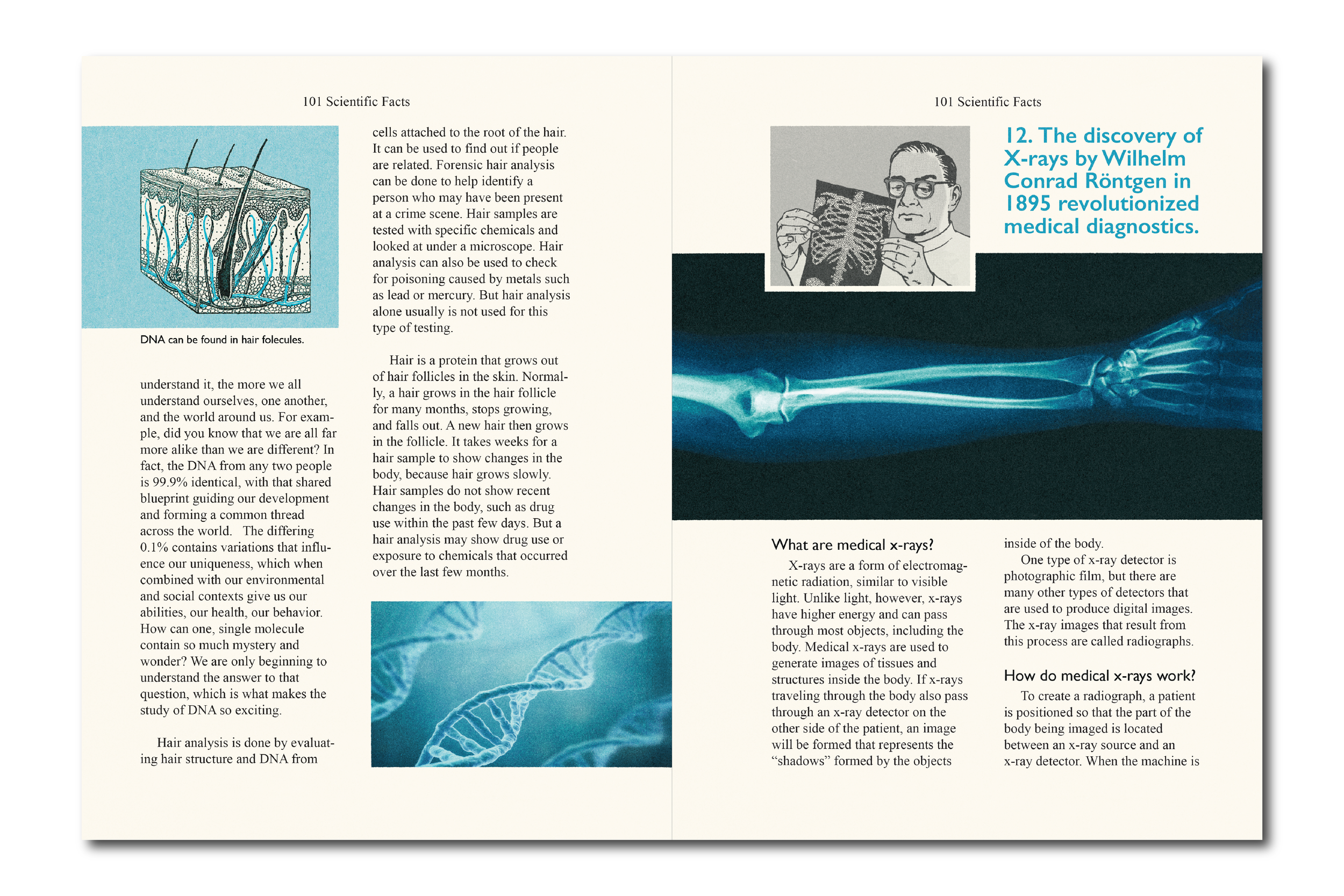 Derry High School GFX-06.png