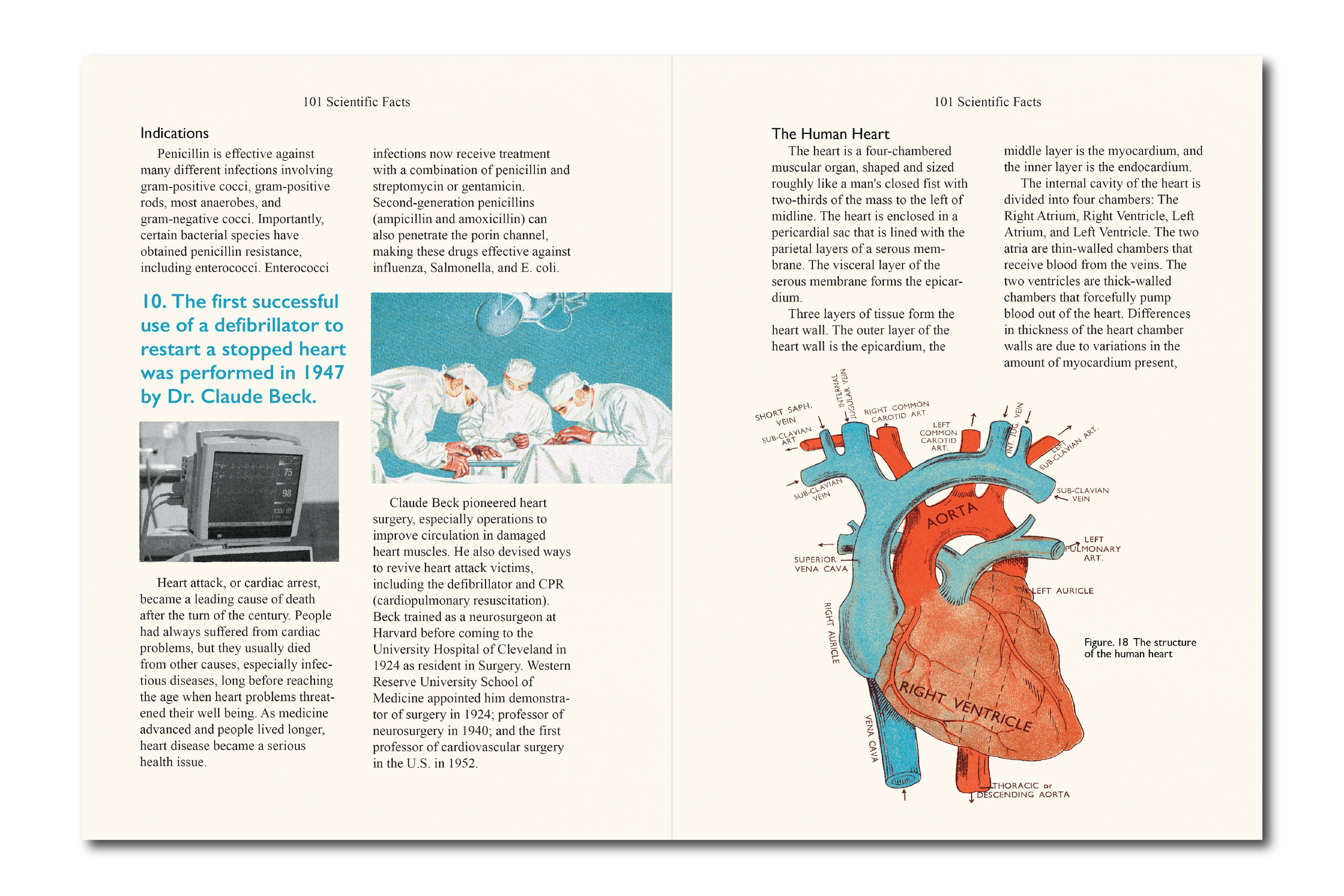 Derry High School GFX-04.png