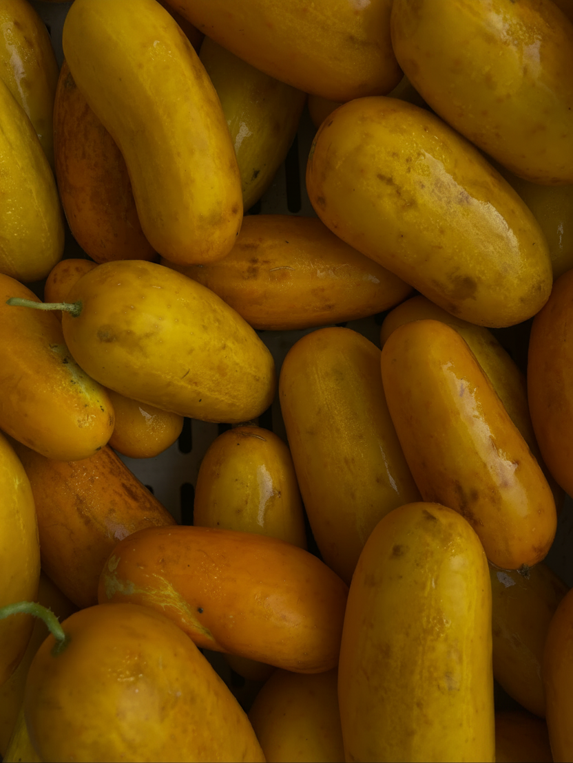 image 42.png