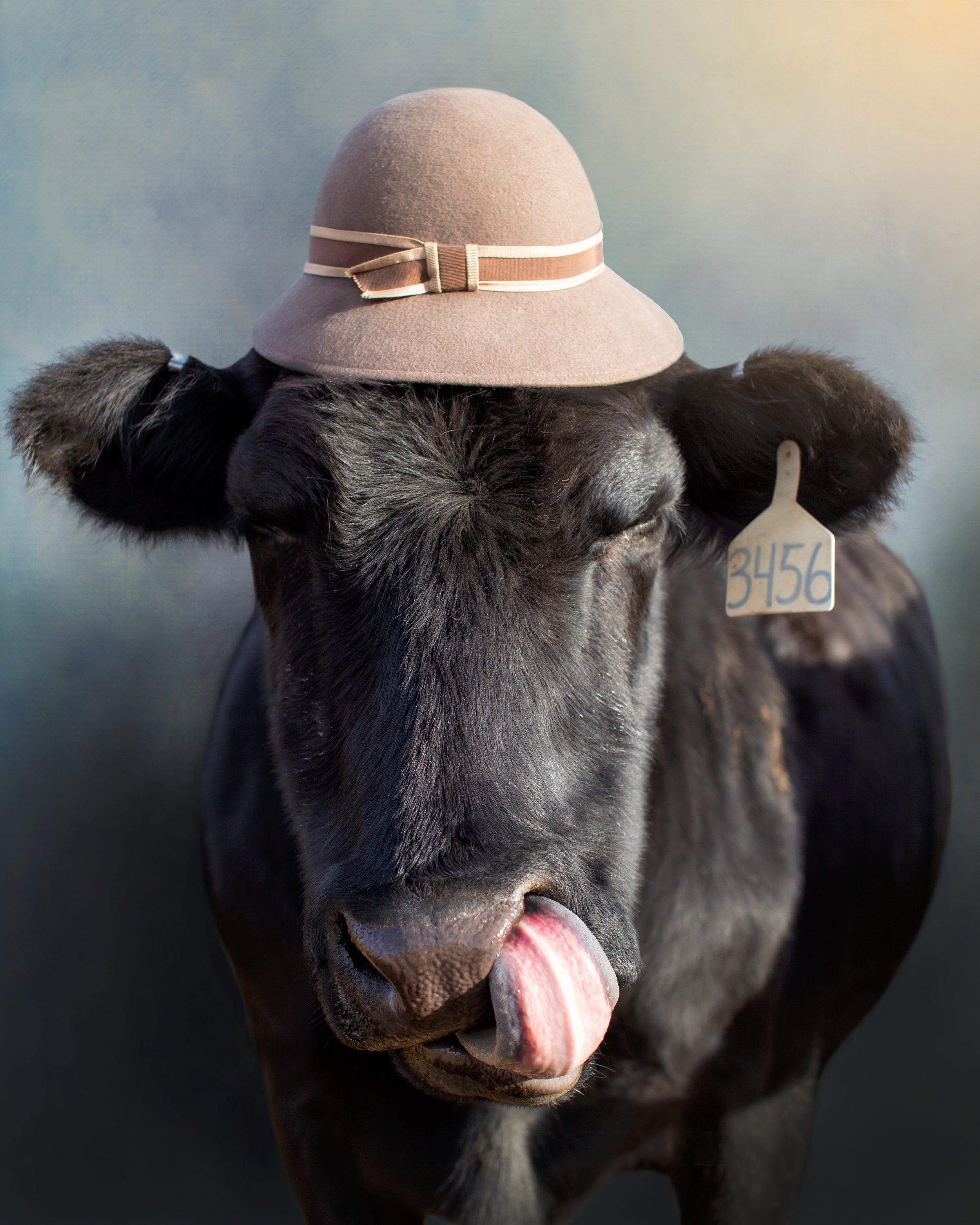 Audrey+Powles+Cows+in+Hats+Series+Patty+Audrey+Powles.jpg