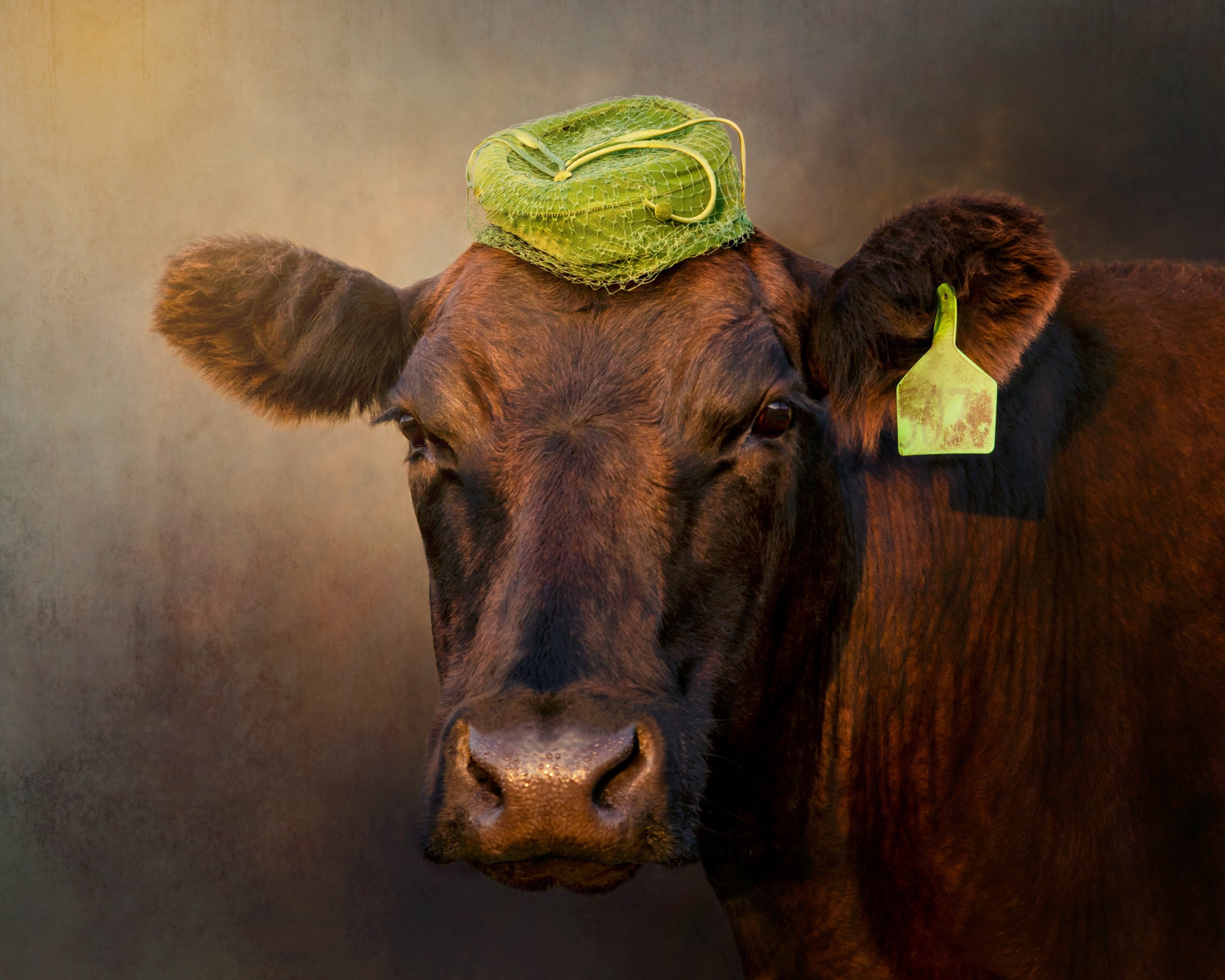 Audrey+Powles+Cows+in+Hats+Series+Pest+Audrey+Powles.jpg