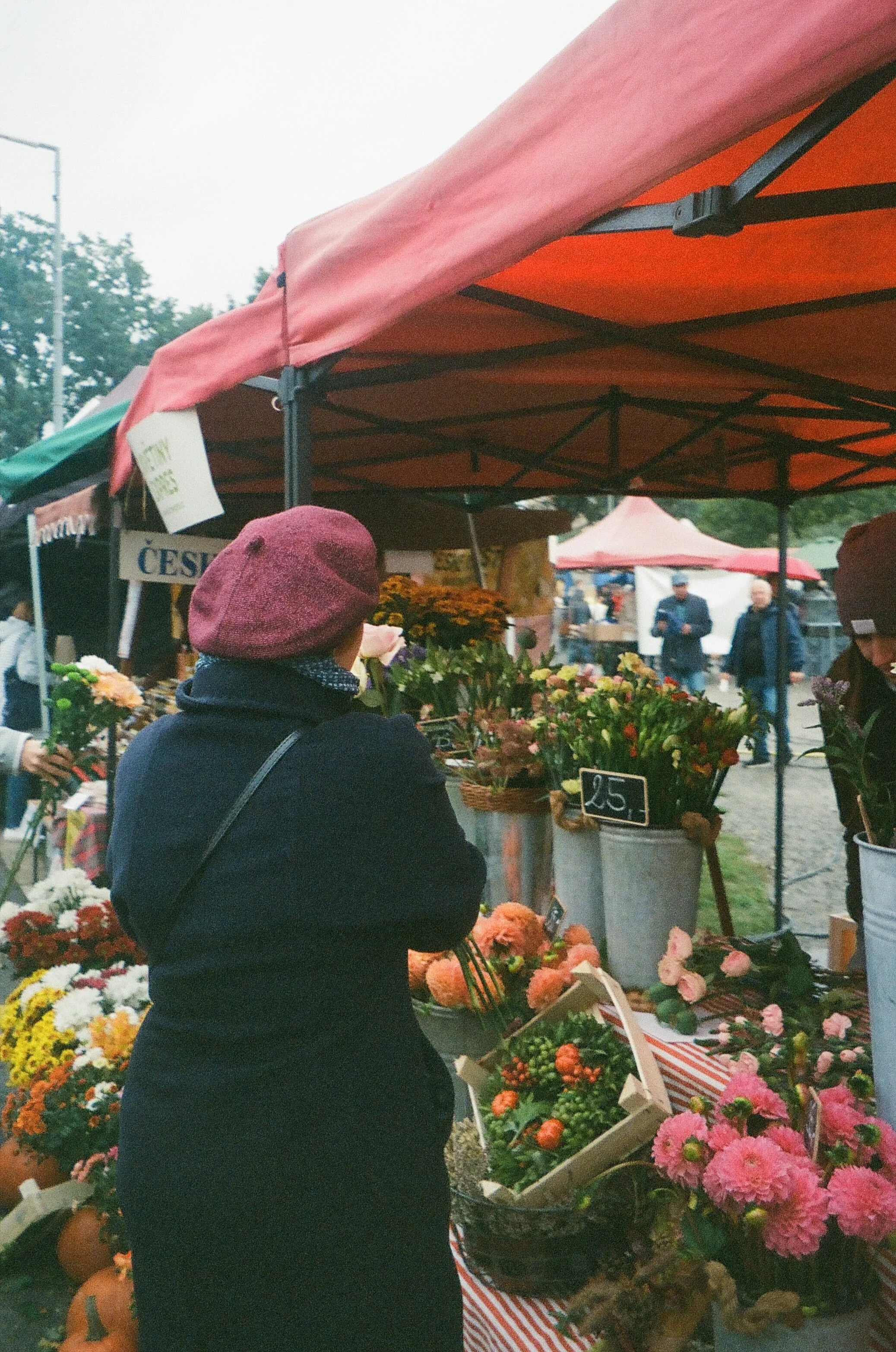 0009_9A.JPG