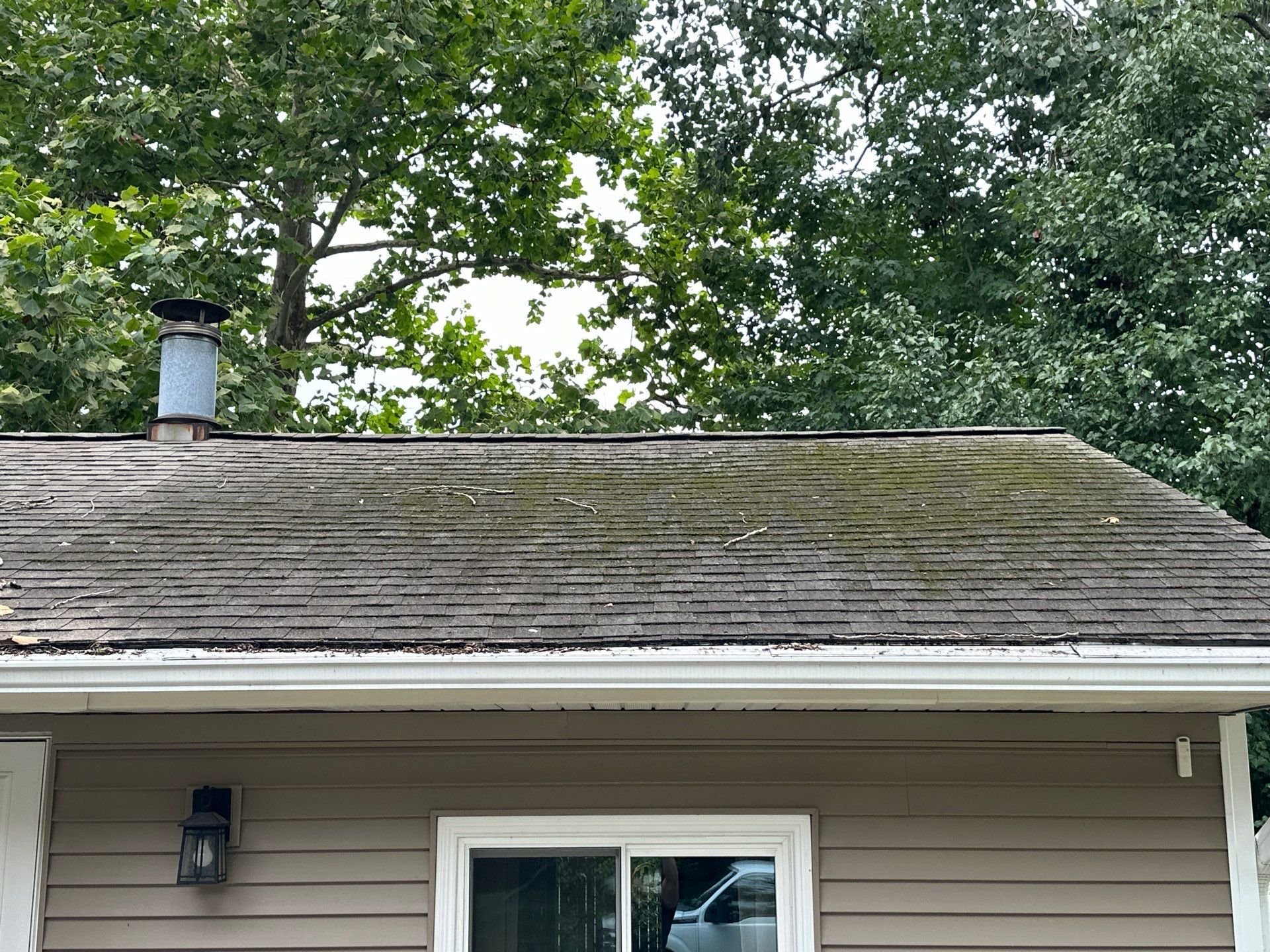 🌿 Is Your Roof Looking a Little Too Green? 🌿

Organic growth on your roof isn&rsquo;t just unsightly&mdash;it can cause long-term damage if left untreated. Our expert roof cleaning services can safely and effectively remove this growth, protecting 