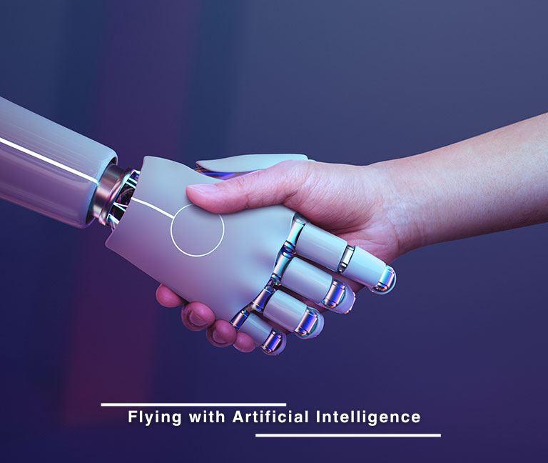 Flying with Artificial Intelligence