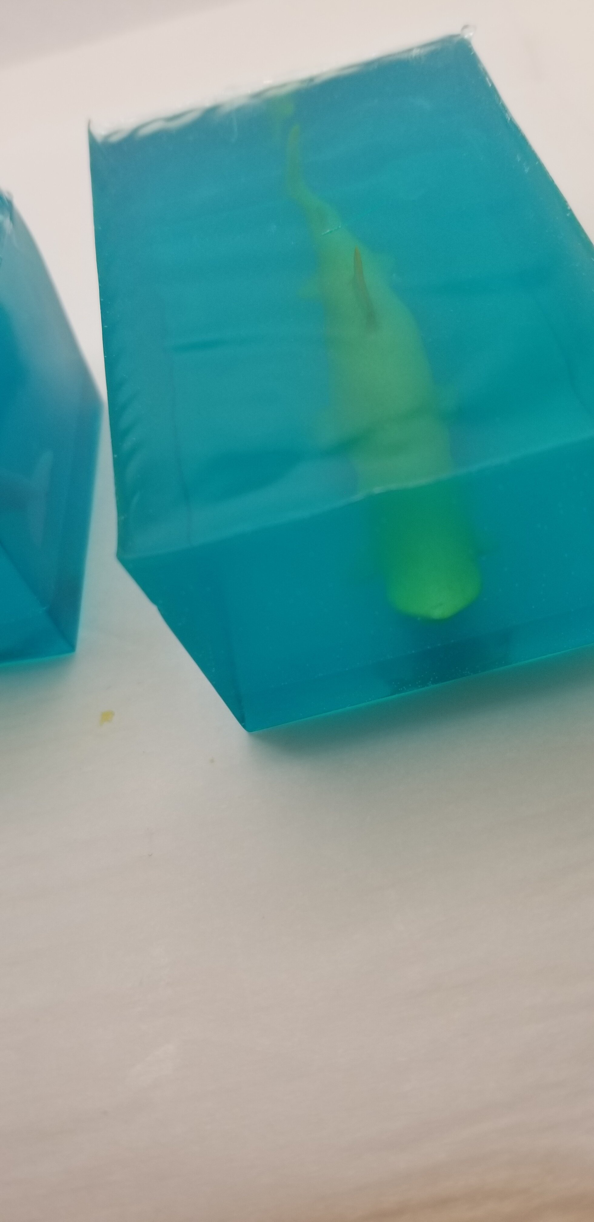 20210512_140426.jpg