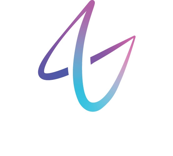 vyzion Group LLC