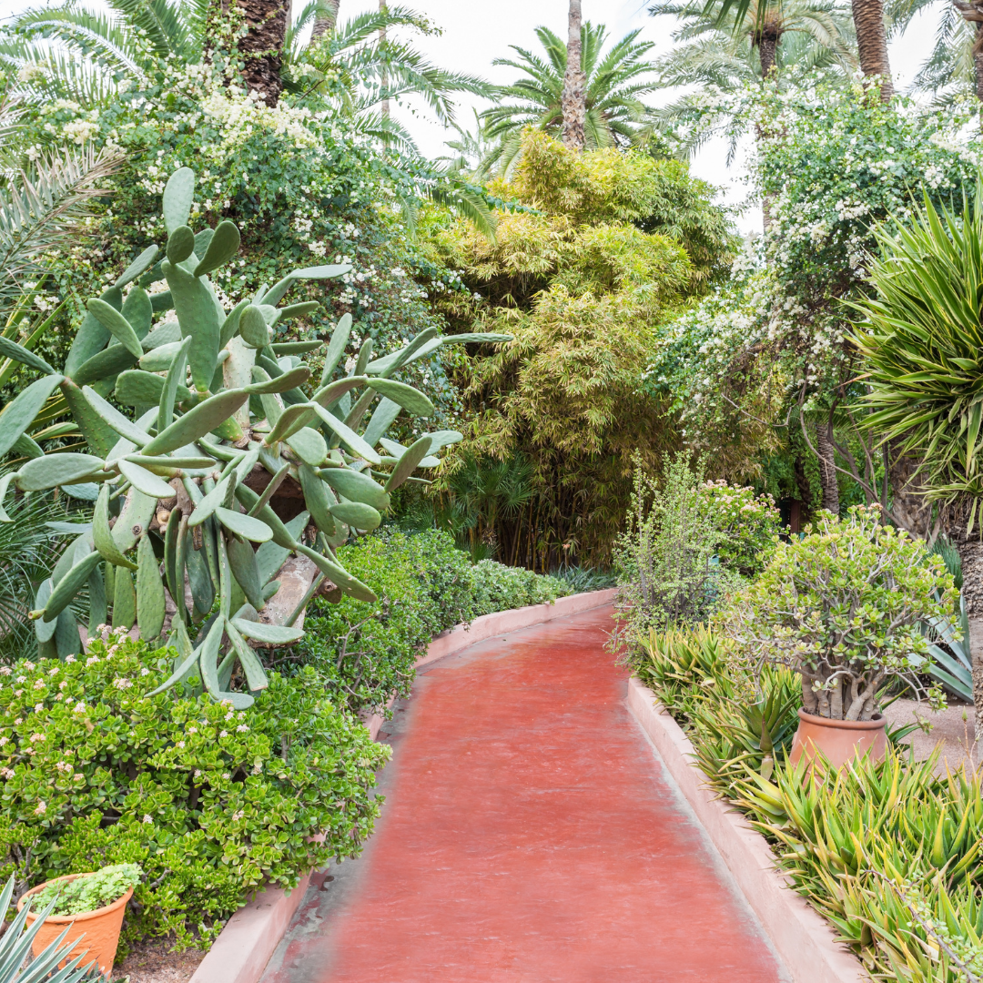 Majorelle Gardens Morocco