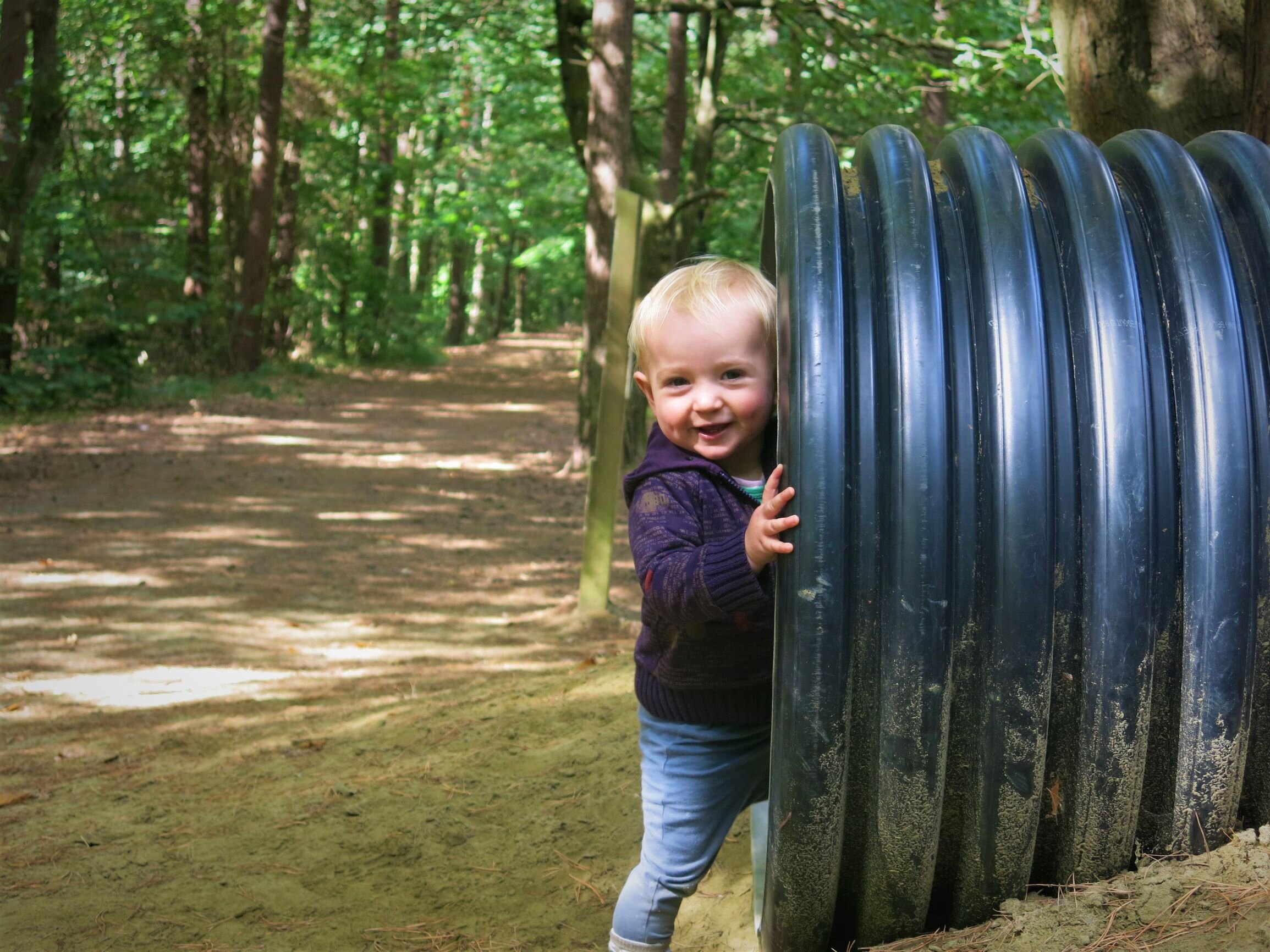Natuurkamperen in het Meerdaalwoud