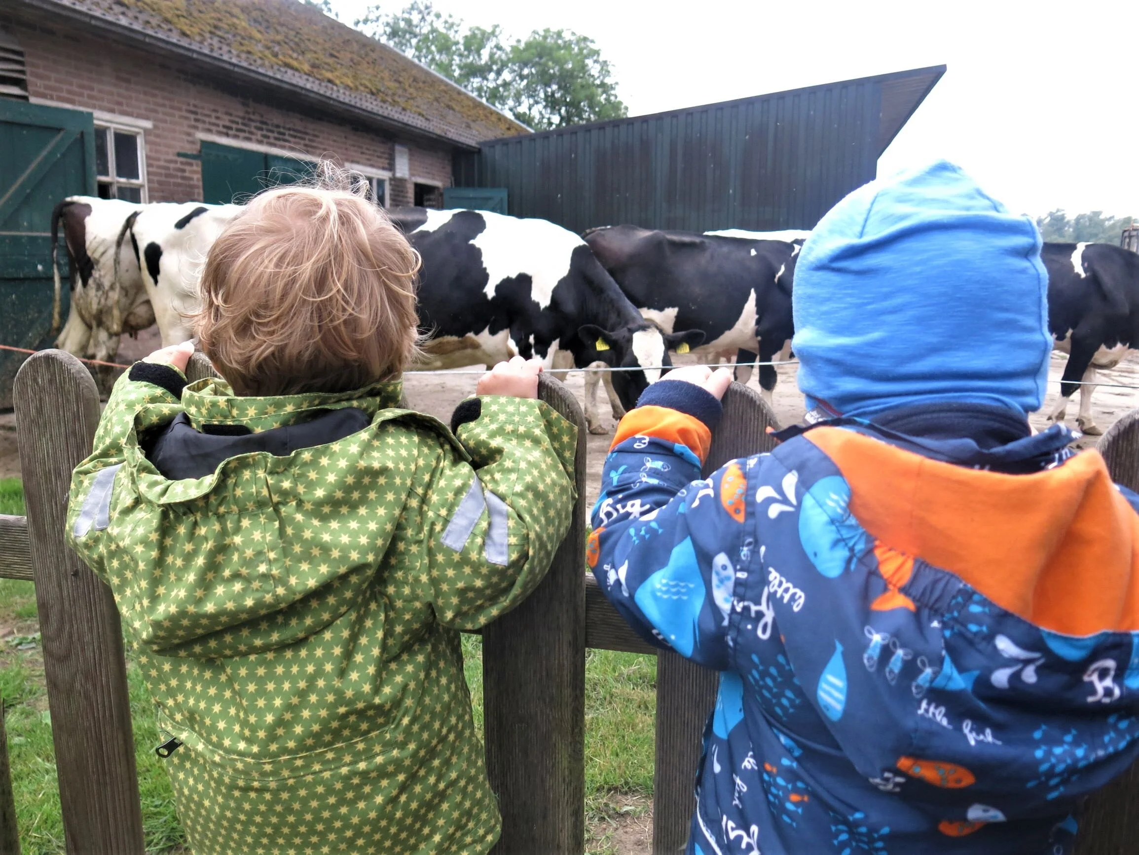 Boerderijkamperen in de Biesbosch