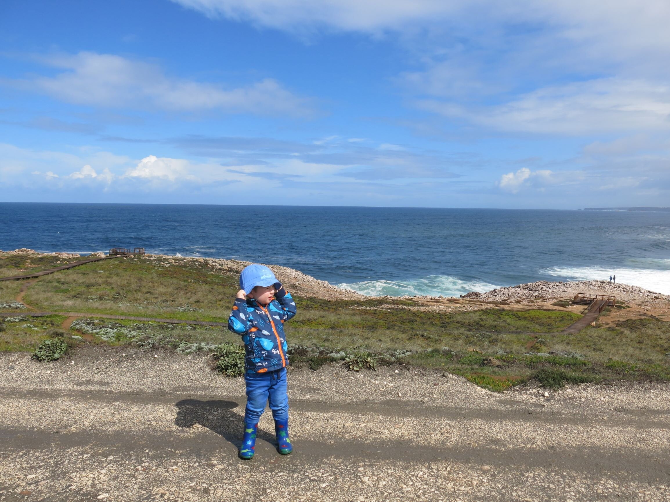 IMG_4350_large.JPG