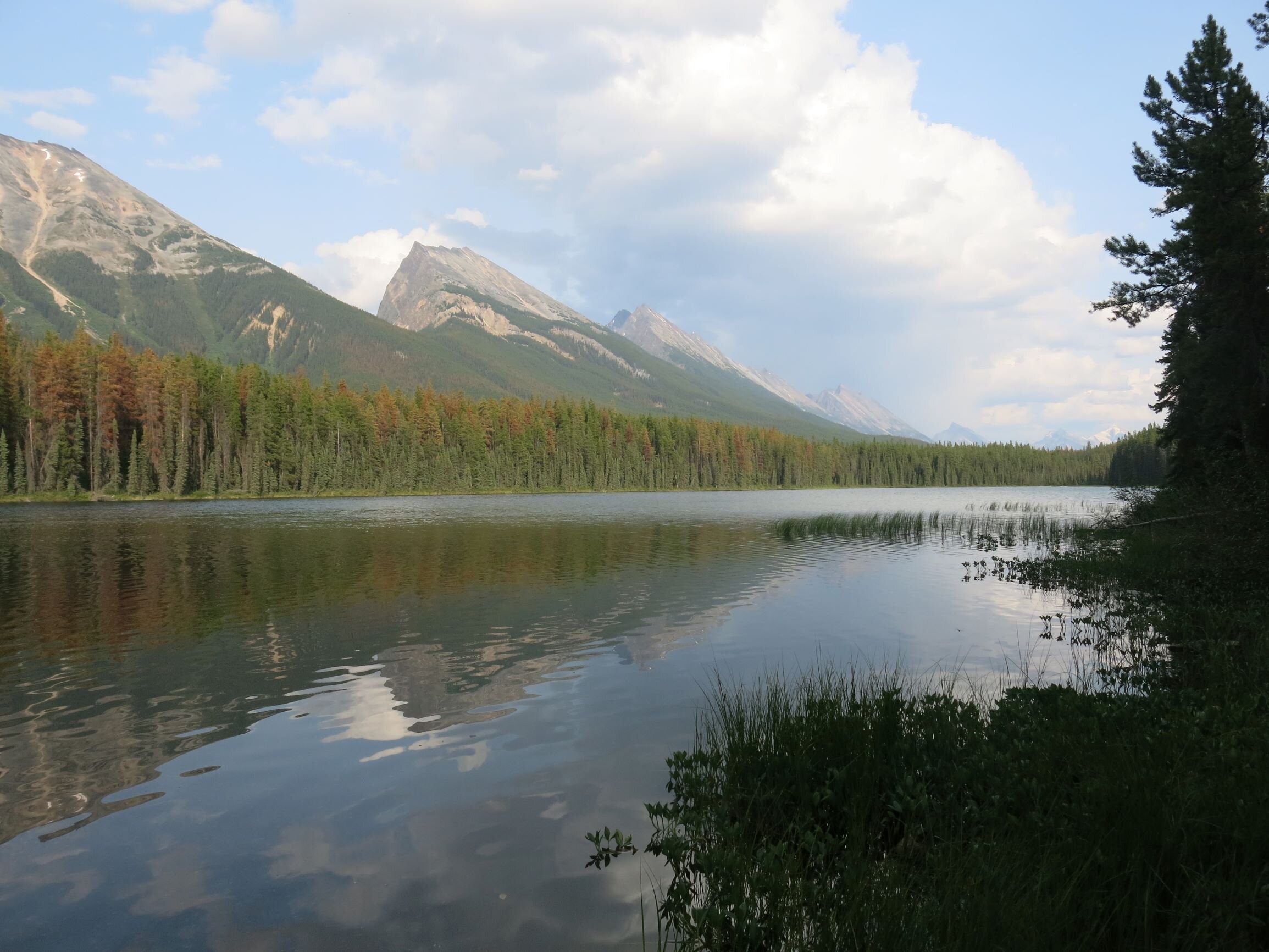 IMG_5478_large.JPG