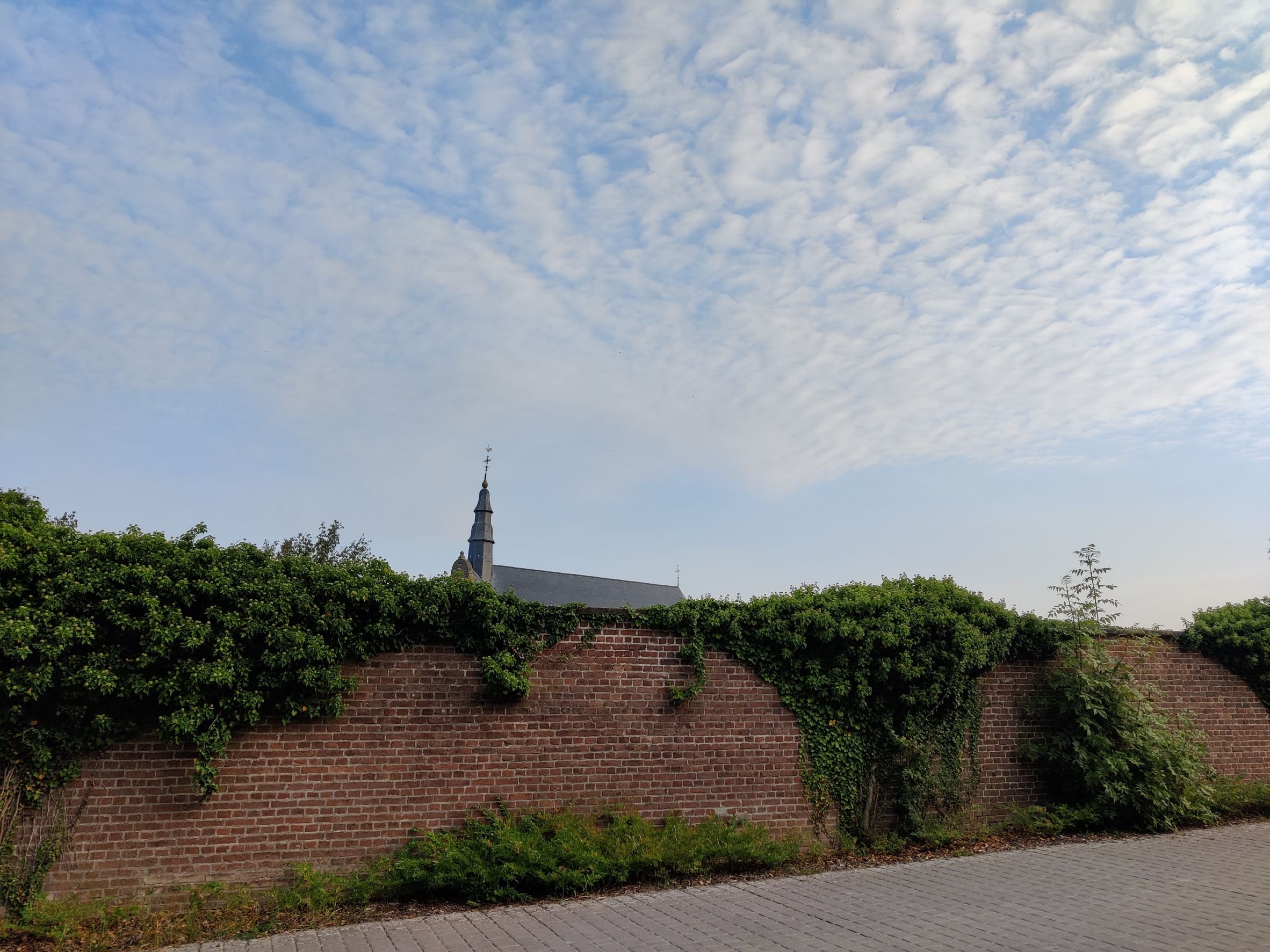 IMG_20210918_084242_large.jpg