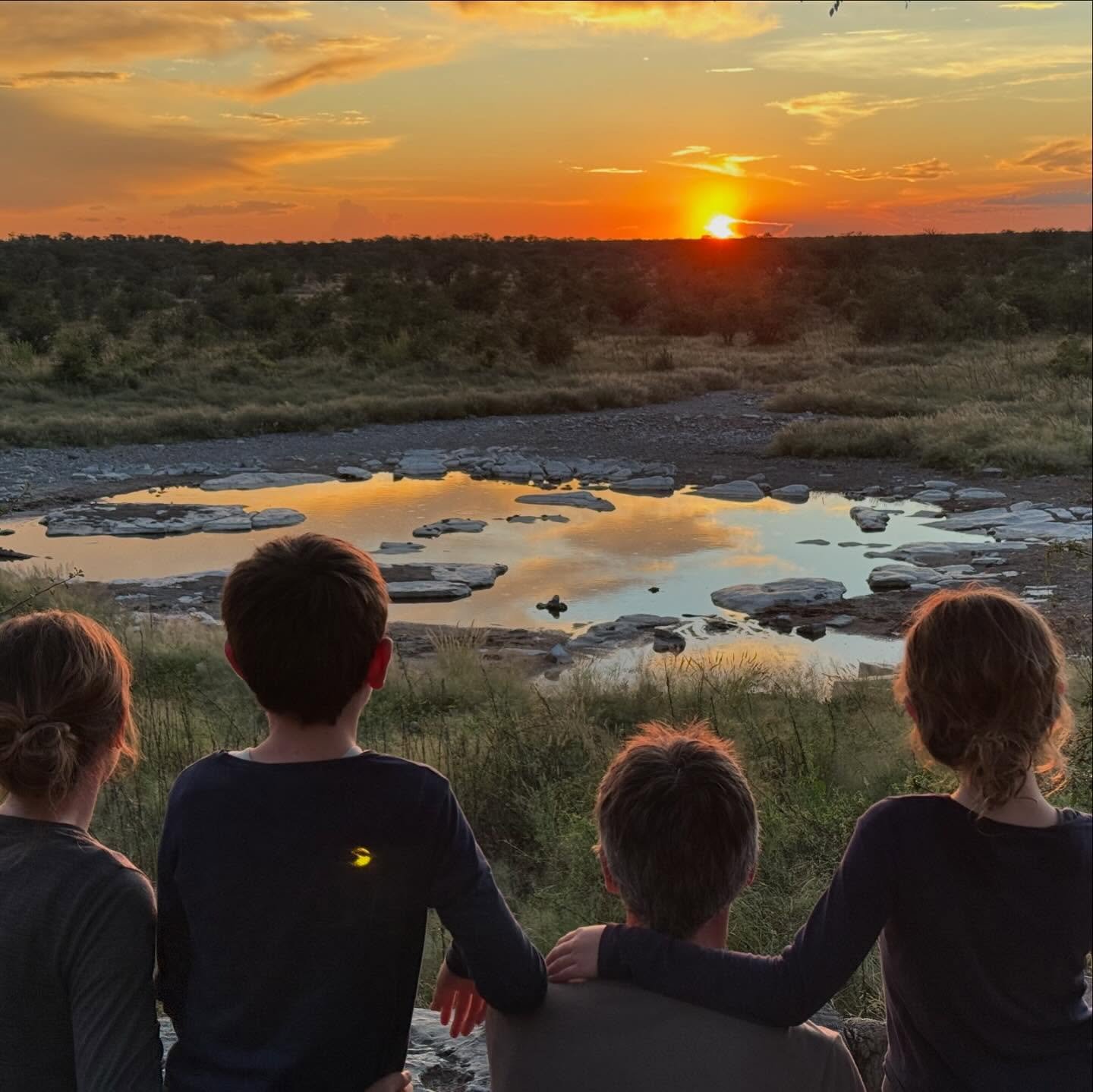 Wie door Namibi&euml; reist, kan niet zonder Etosha. Etosha is een nationaal park bijna zo groot als Belgi&euml; en je kan er ontzettend veel wilde dieren spotten. Je moet wat geduld hebben: soms rijd je drie uur zonder een dier te zien, dan weer ste