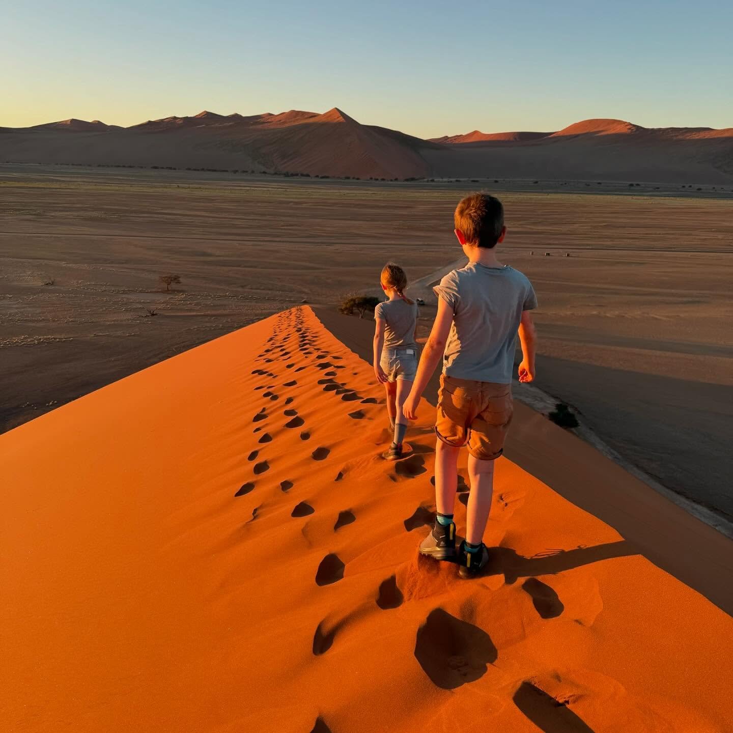 In april waren we in Namibi&euml;. Een ongelooflijk mooi land, en wat een ervaring om dat met de kindjes te kunnen doen. We huurden een jeep met twee tenten erop en trokken eerst naar de Namib woestijn. Die rode duinen zijn immens! We beklommen er dr