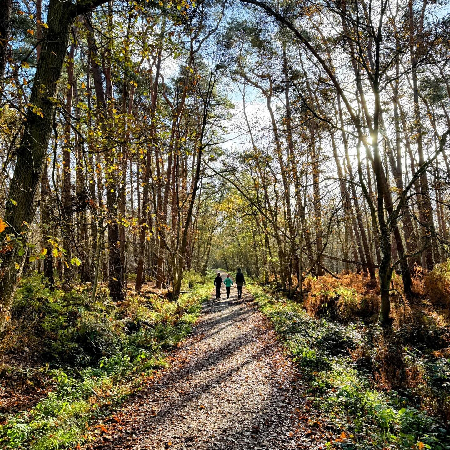 Wij gingen wandelen in het Waasland in Oost-Vlaanderen dit weekend. Geen wandelpaden gewoon rechtdoor maar wel over hangbruggen, op zoek naar geiten en konikpaarden, met een vlot naar de overkant en langs een laarzenpad vol modder. En dat allemaal in