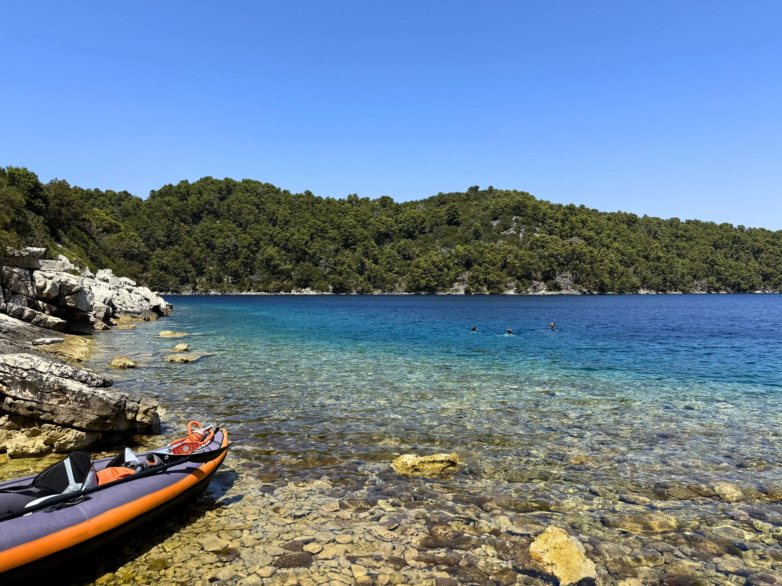 IMG_5406_large.jpg