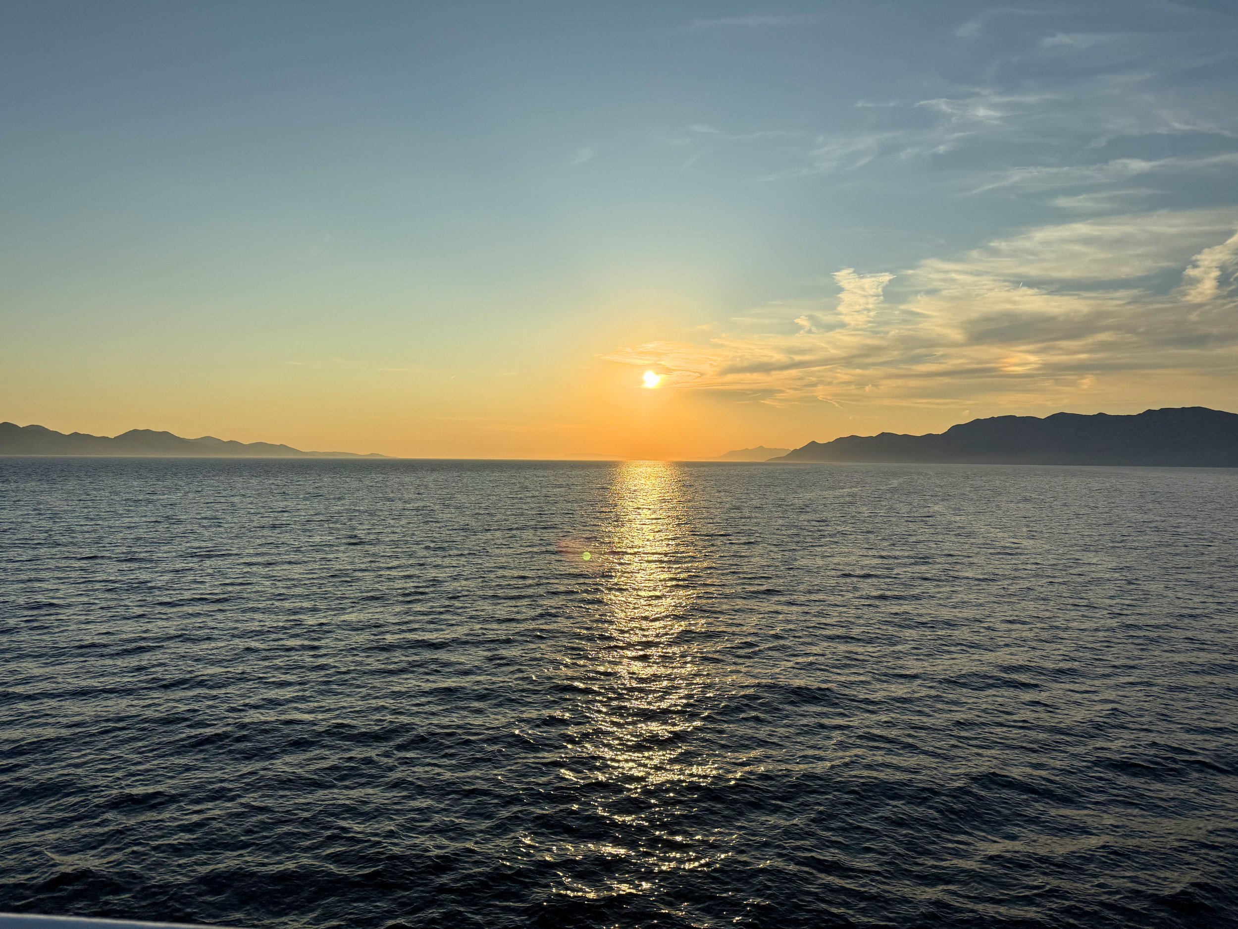 IMG_5463_large.jpg