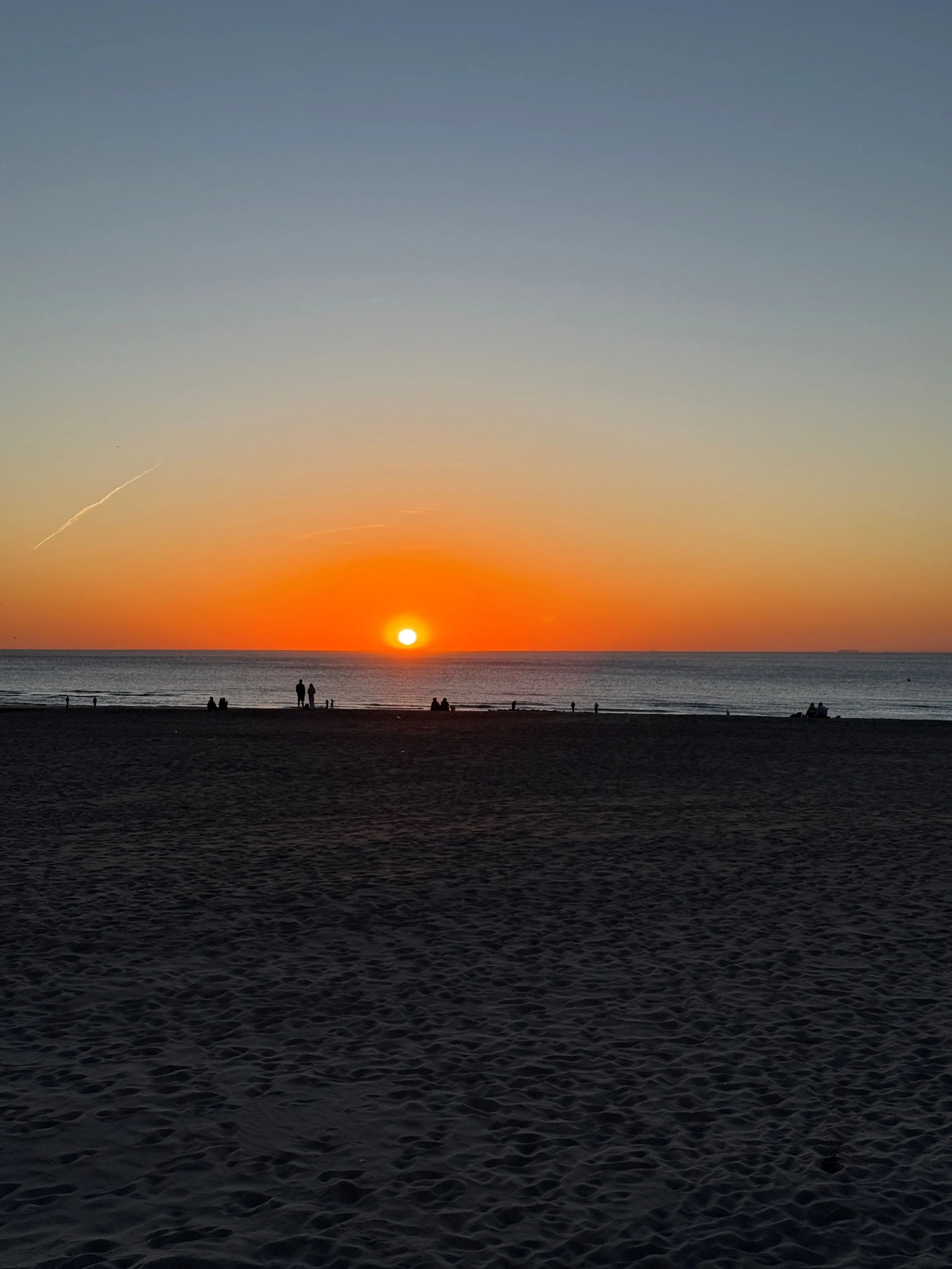 IMG_9477_large.JPG