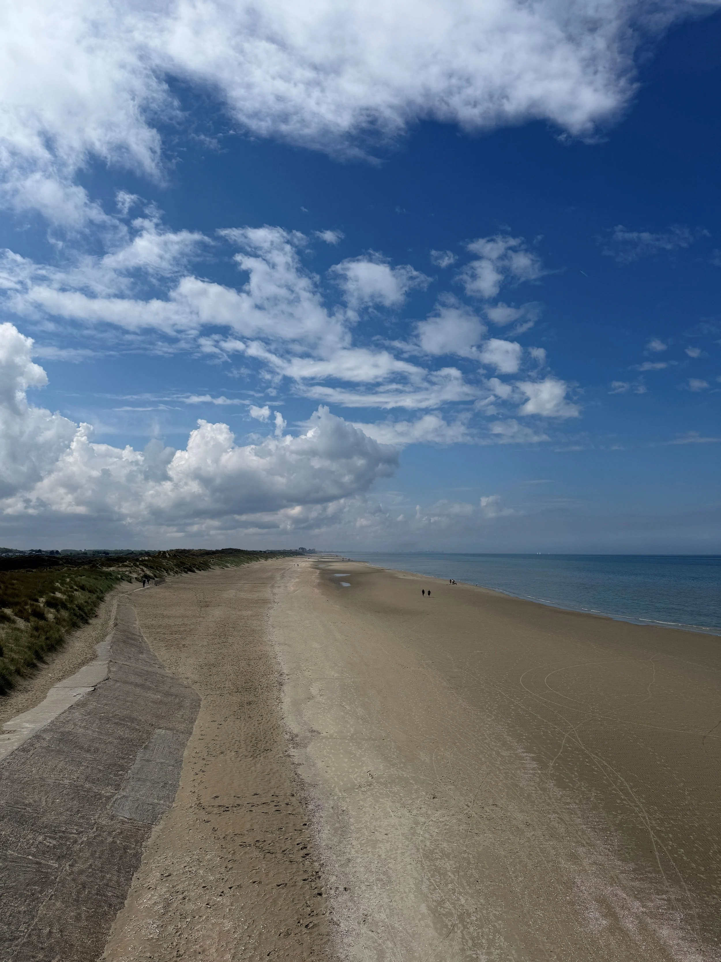 IMG_9629_large.JPG