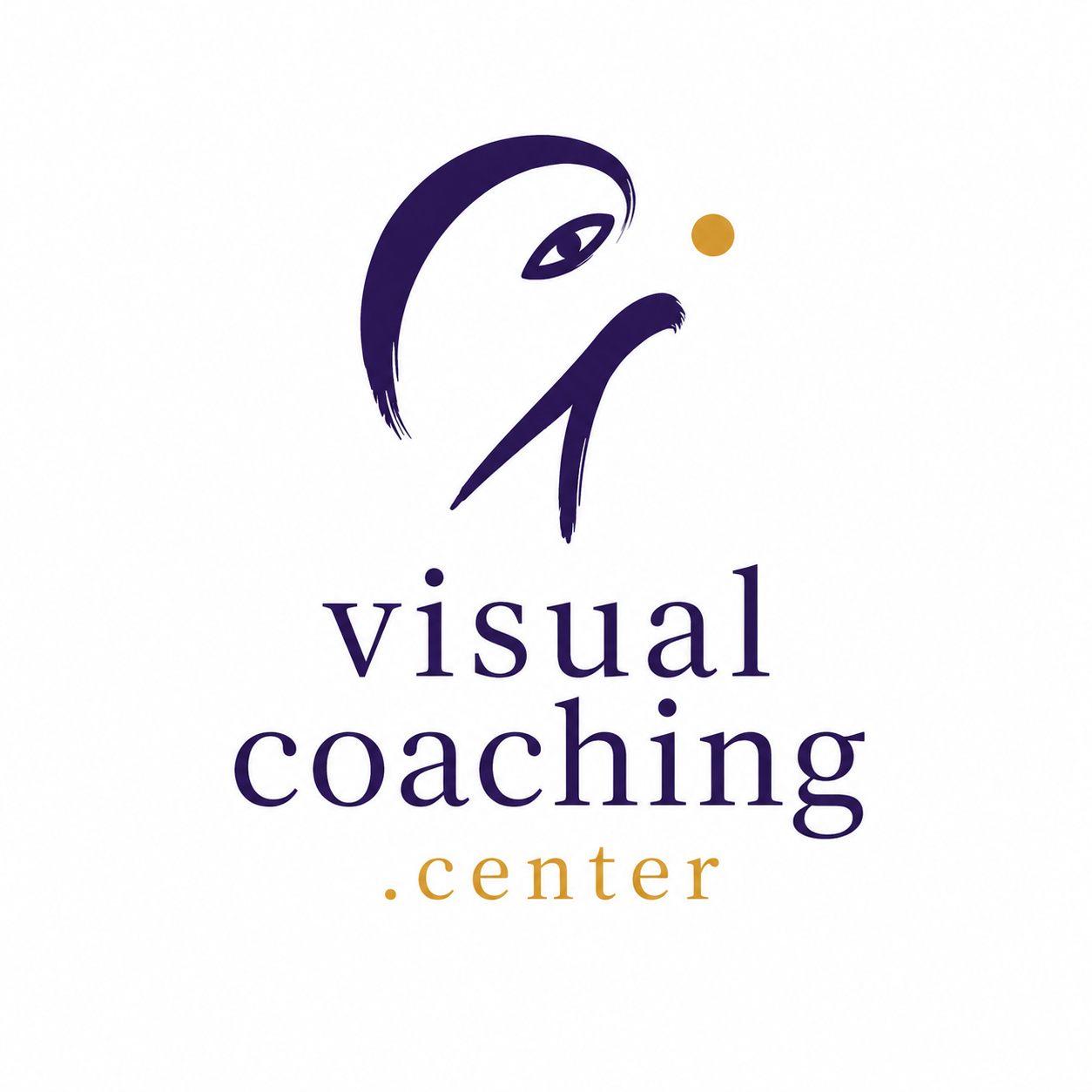 Visual Coaching Center Logo.png