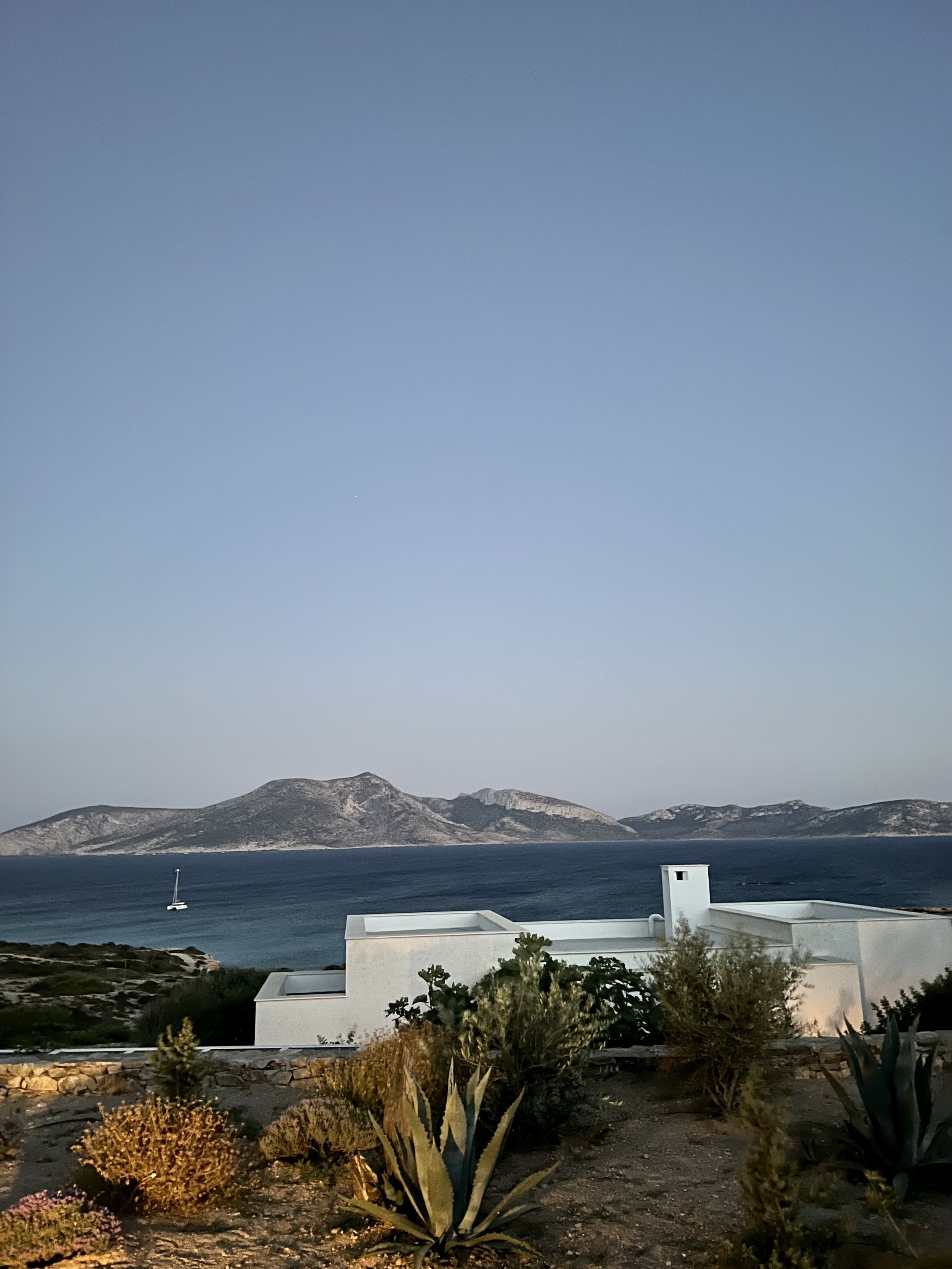 IMG_8697.jpeg