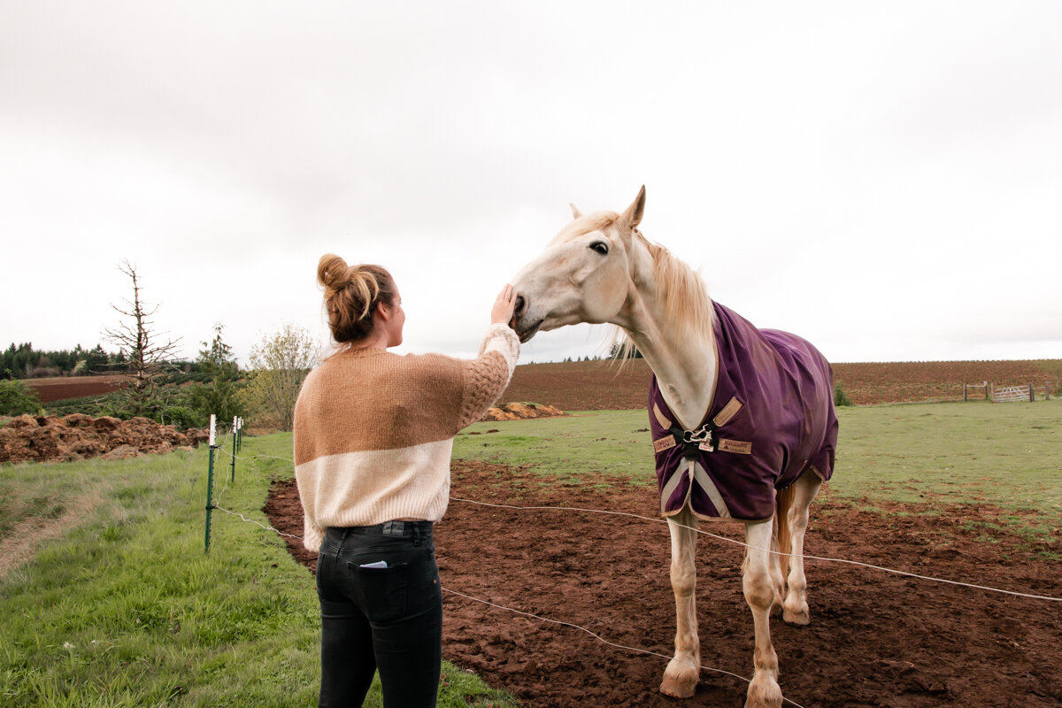 Petting a Horse at Crooked Finger Farms, Silverton, Oregon