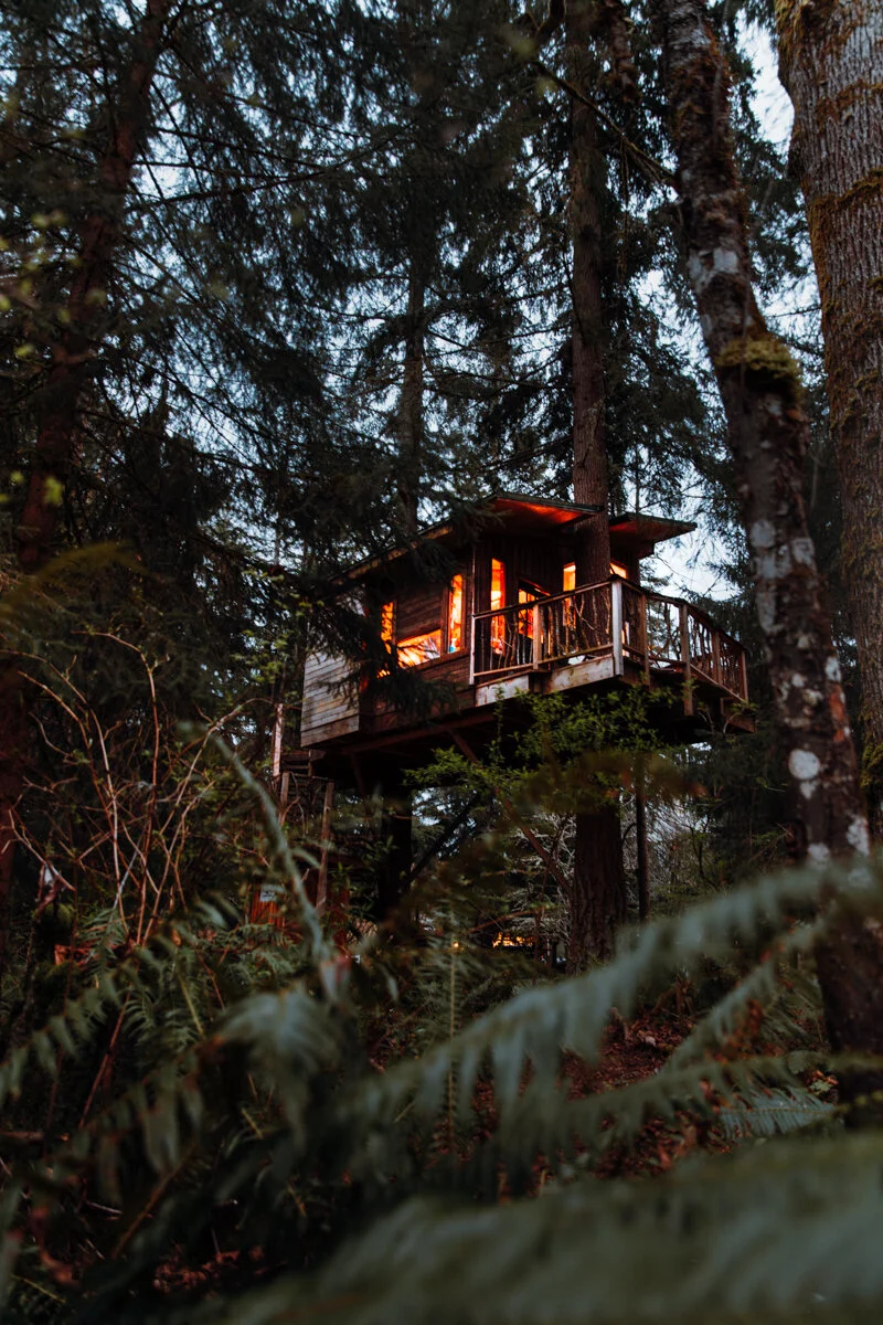 Unique Stay The Squirrel's Nest. Add This Washington Treehouse Airbnb to Your Wanderlist