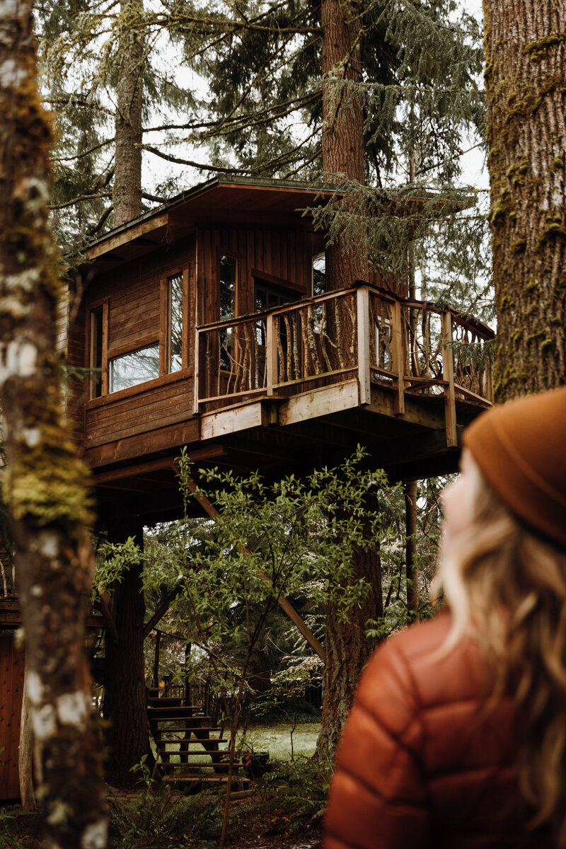 Squirrel's Nest Treehouse Airbnb Washington