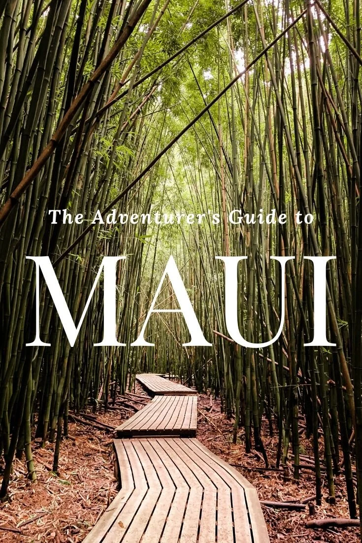 Maui2.jpg