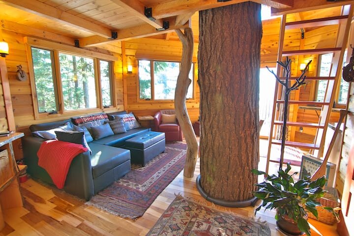 Osprey Tree House Rental, Washington