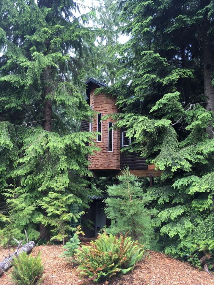 Luxurious Treehouse in the Woods, Tree House Rental, Washington.jpg