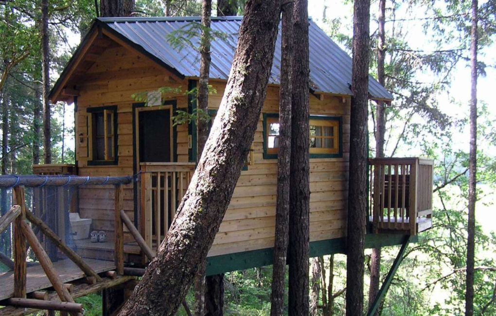 Vertical Horizons Treehouse Paradise, Tree House Rental, Oregon.png