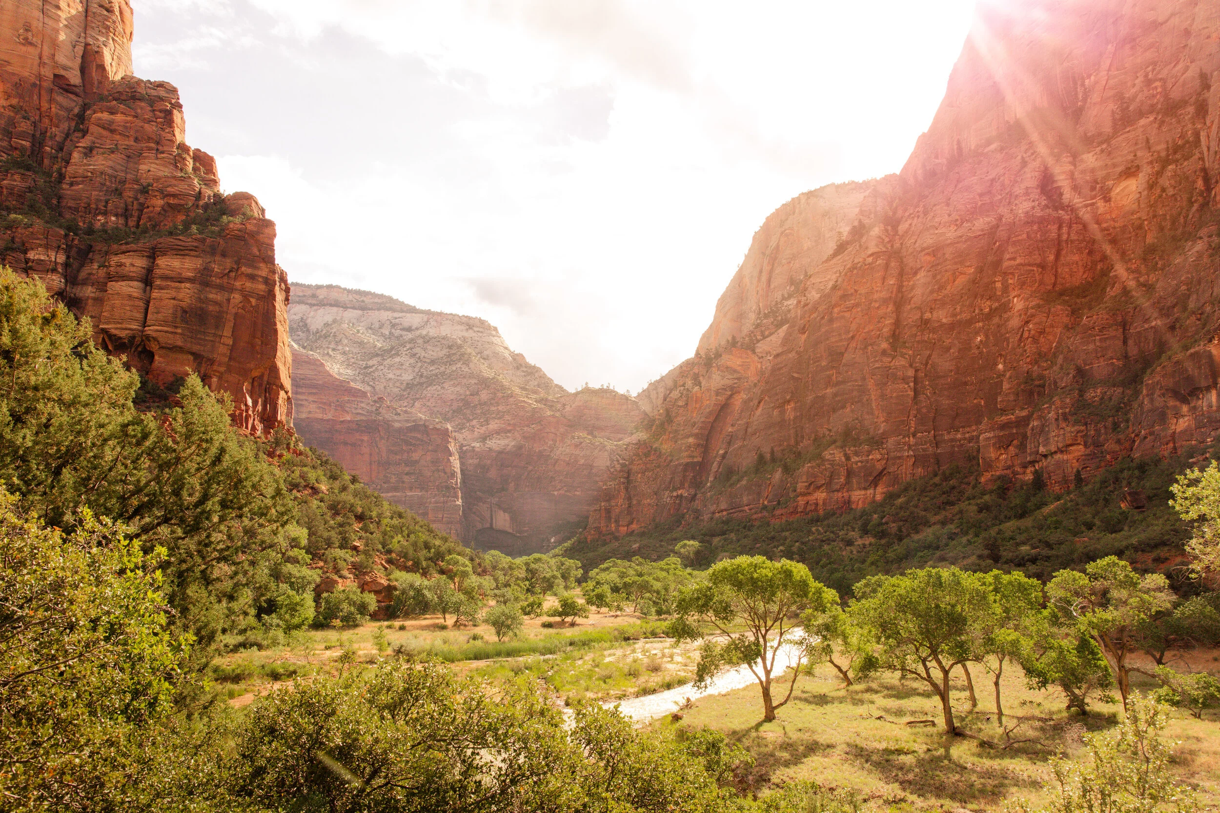 24 Hours in Zion National Park — Wander in RAW