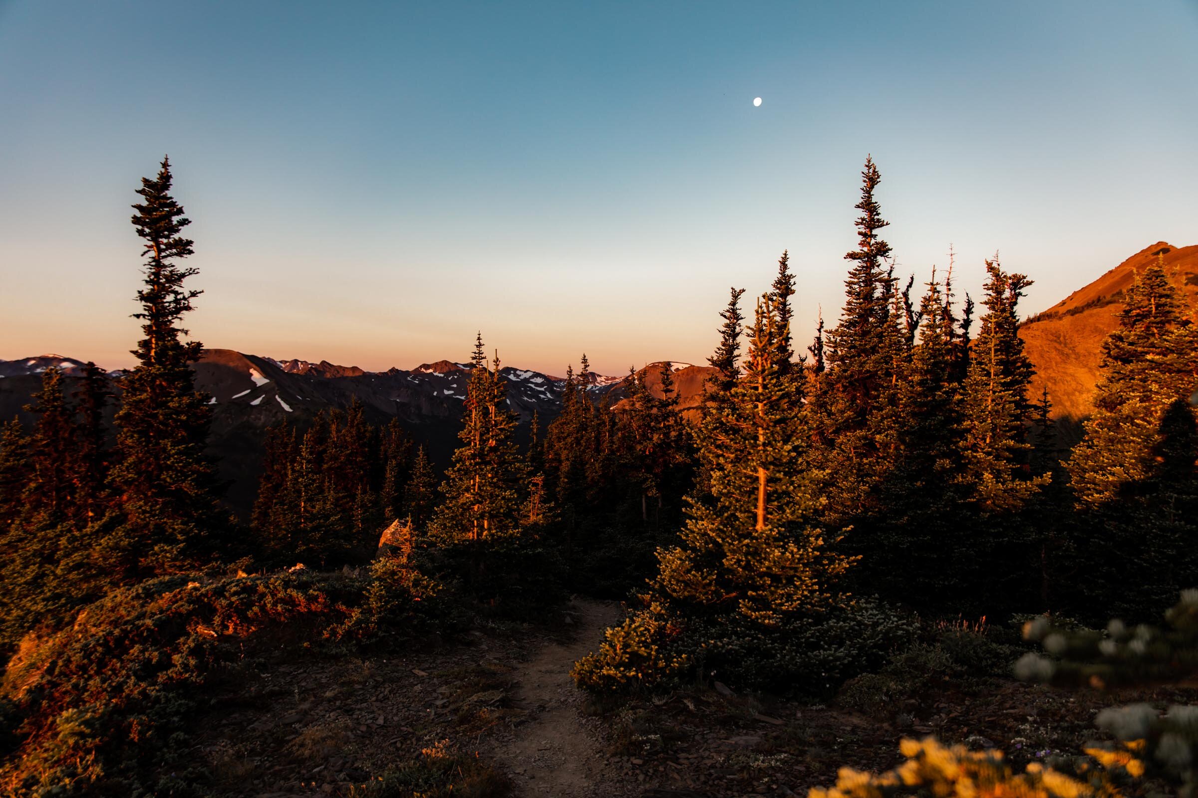 Grand Ridge Trail: Backpacking One of Olympic National Park’s Best ...