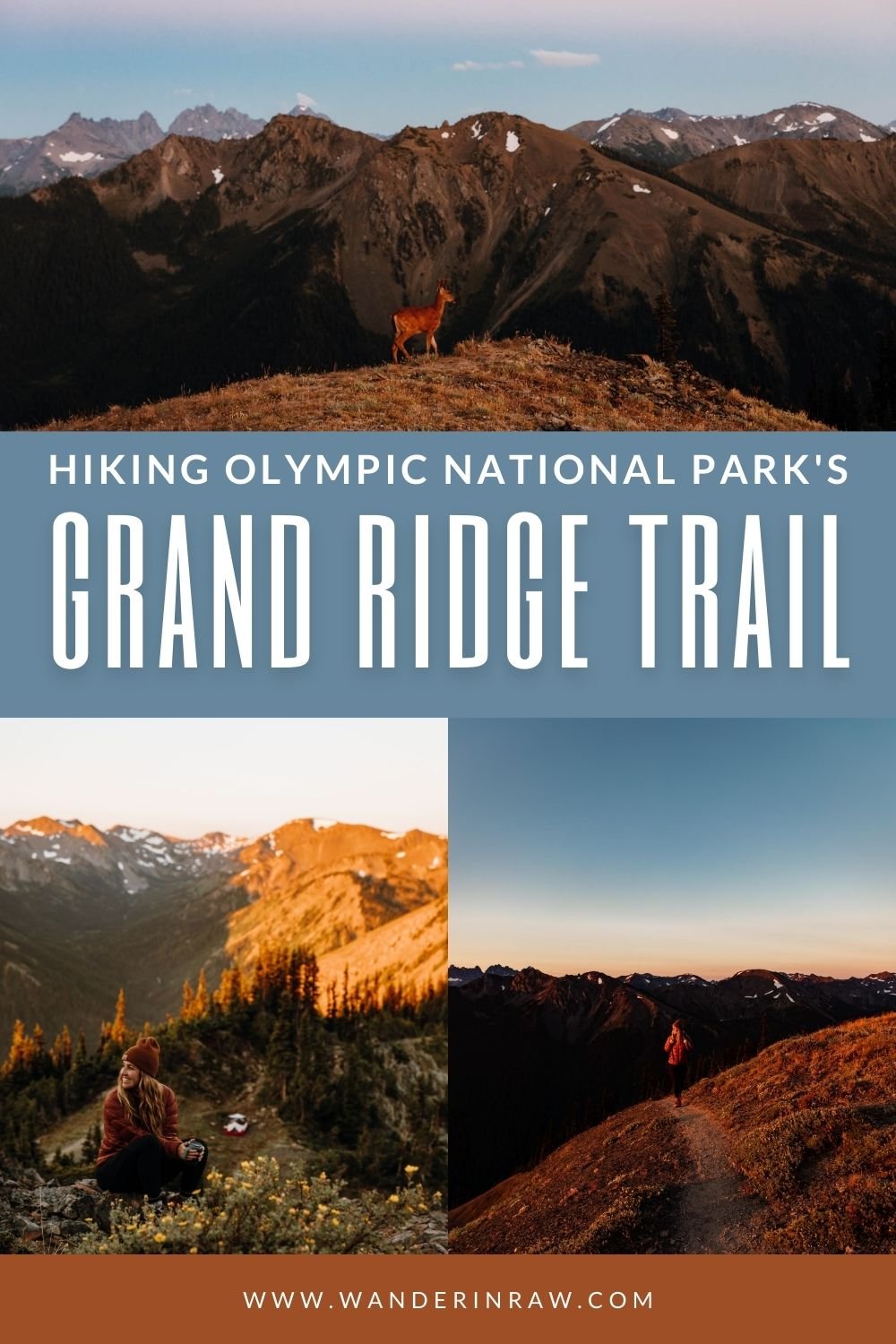 Grand Ridge Trail–Best Hikes in Olympic National Park.jpg