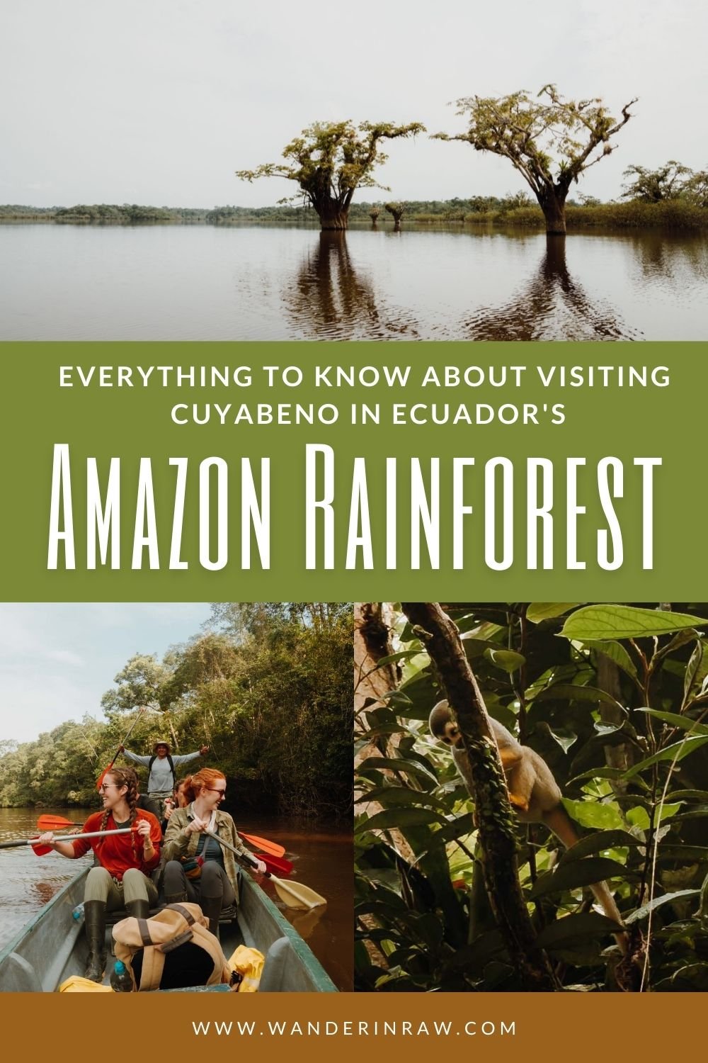 Everything to Know About Visiting Cuyabeno Wildlife Reserve in Ecuador's Amazon