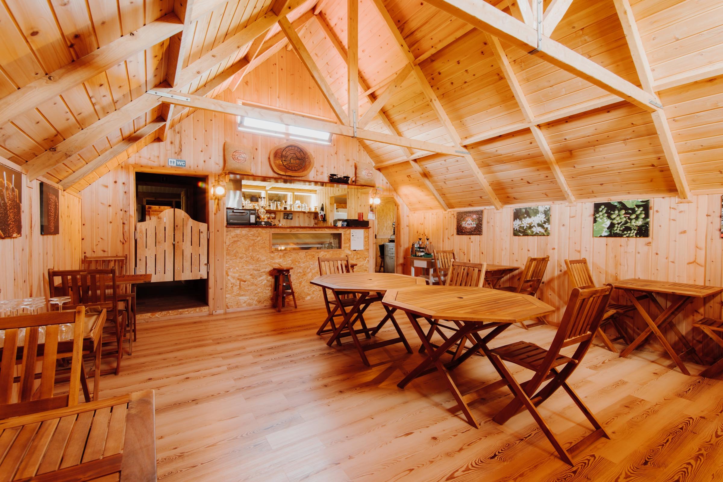 Unique Stay: Banana Eco Camp Glamping Airbnb Handroasted Coffee, Organic Sustainable Farm
