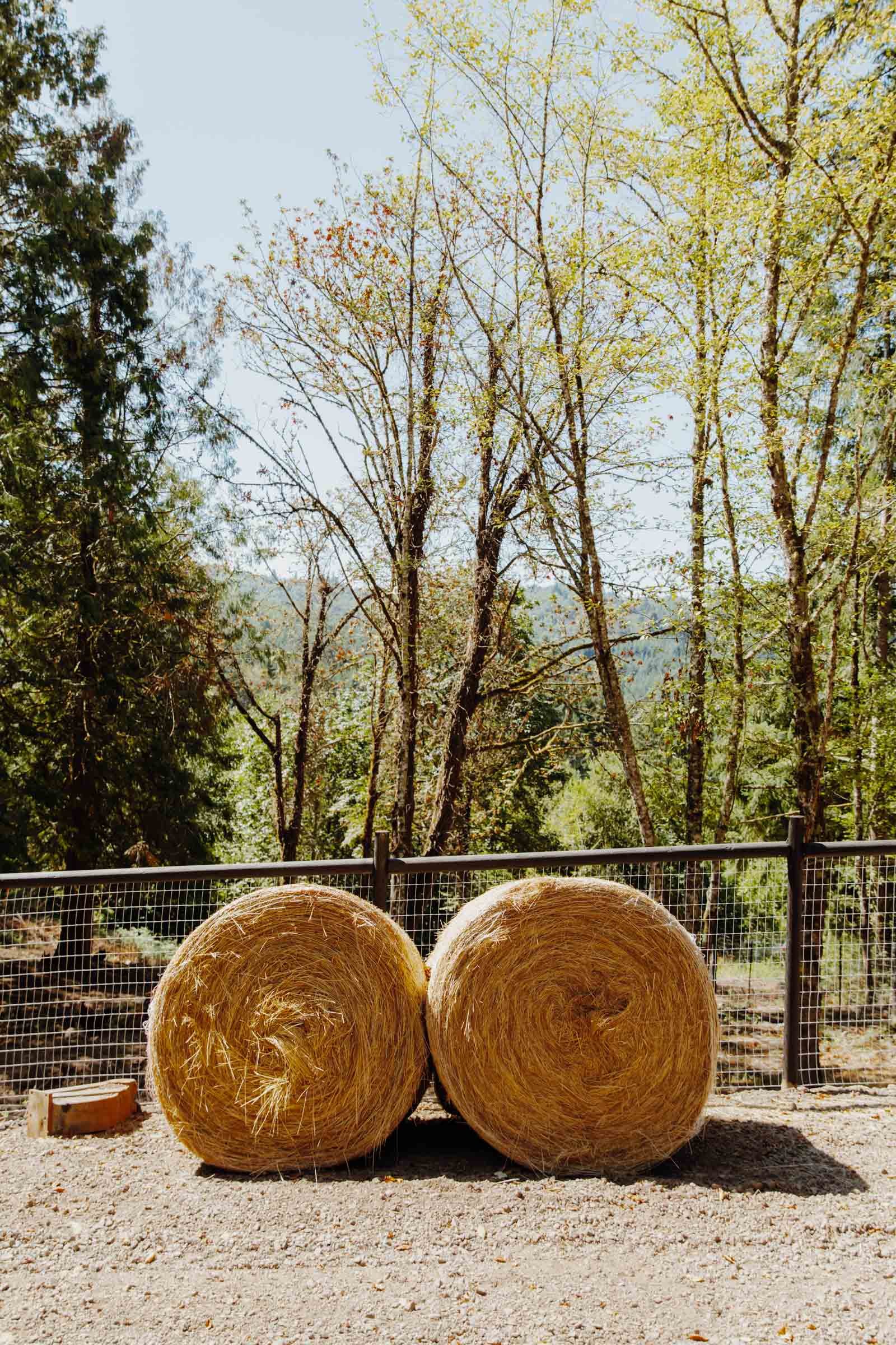 Hay Bails at the Container Home