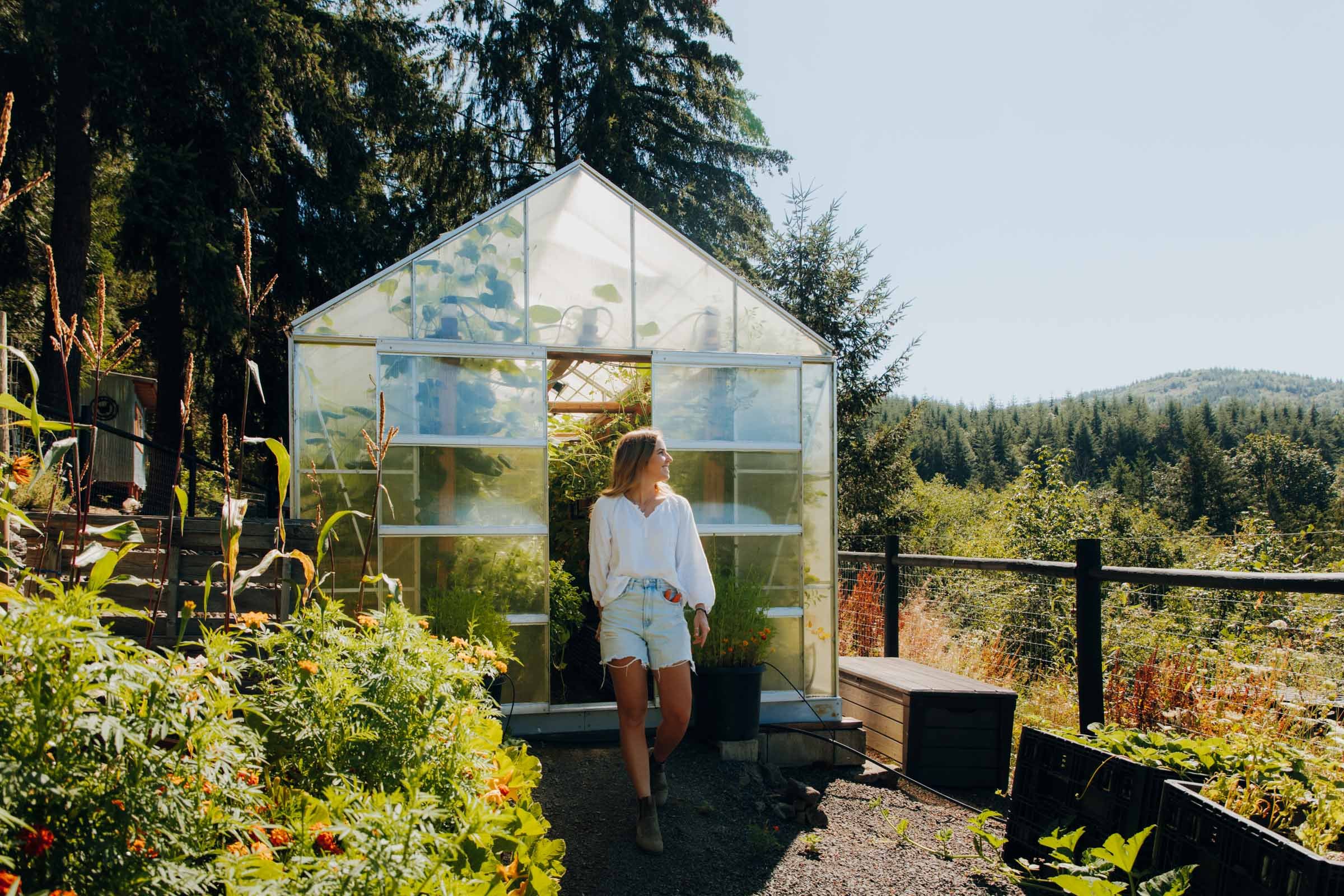 Greenhouse at the Container Home