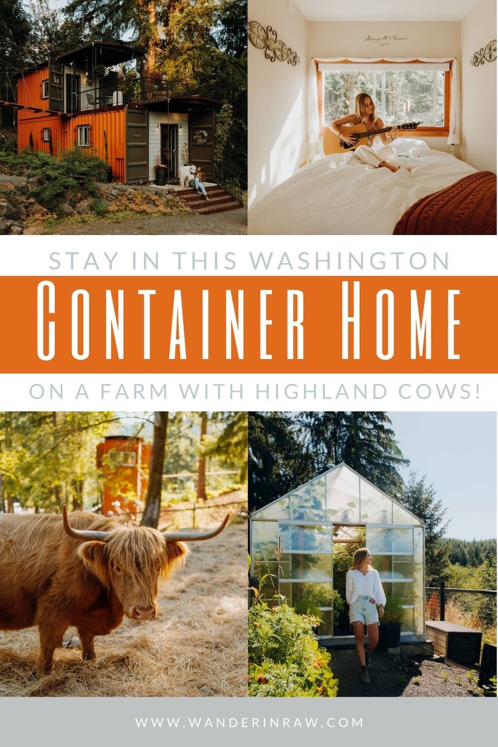 Unique Stay: Rent a Container Home with Highland Cows