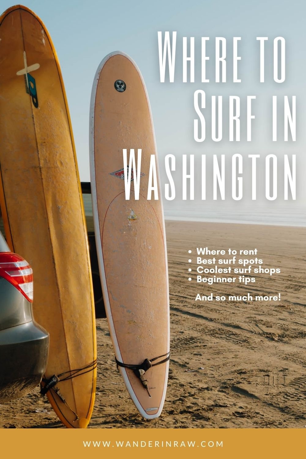 Where to Go Surfing in Washington