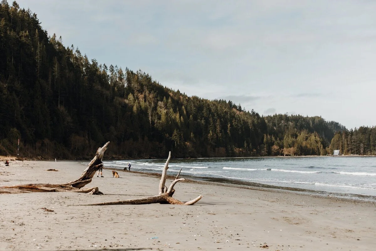 Crescent Beach: The Sheltered, Sandy Bay That Offers Great Washington Surf