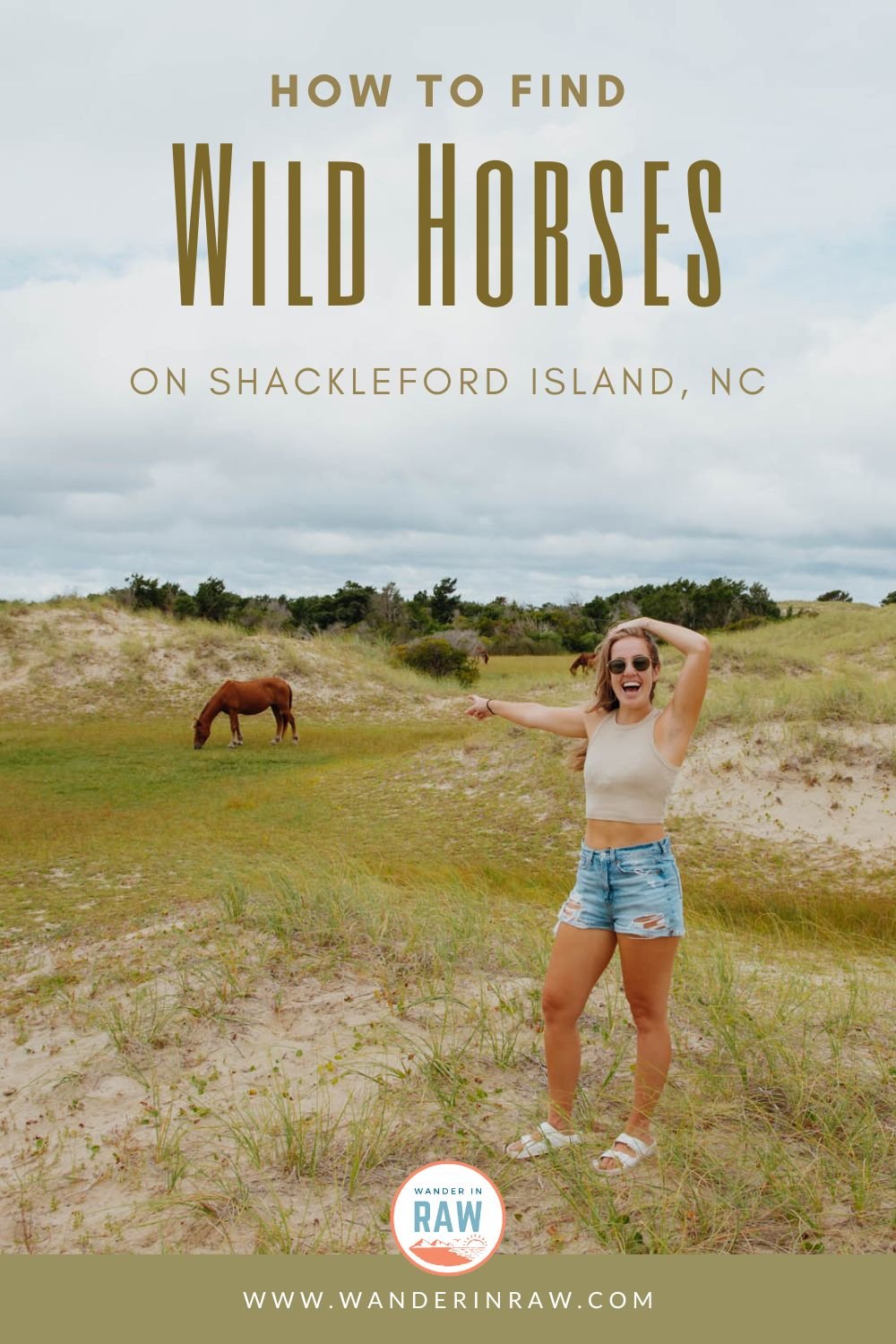 Shackleford Island: Where to Find the Outer Banks Wild Horses