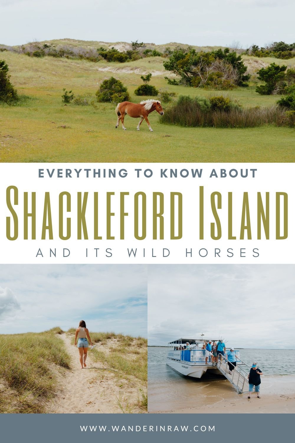 Shackleford Island Has Wild Horses! Here’s How to Find Them